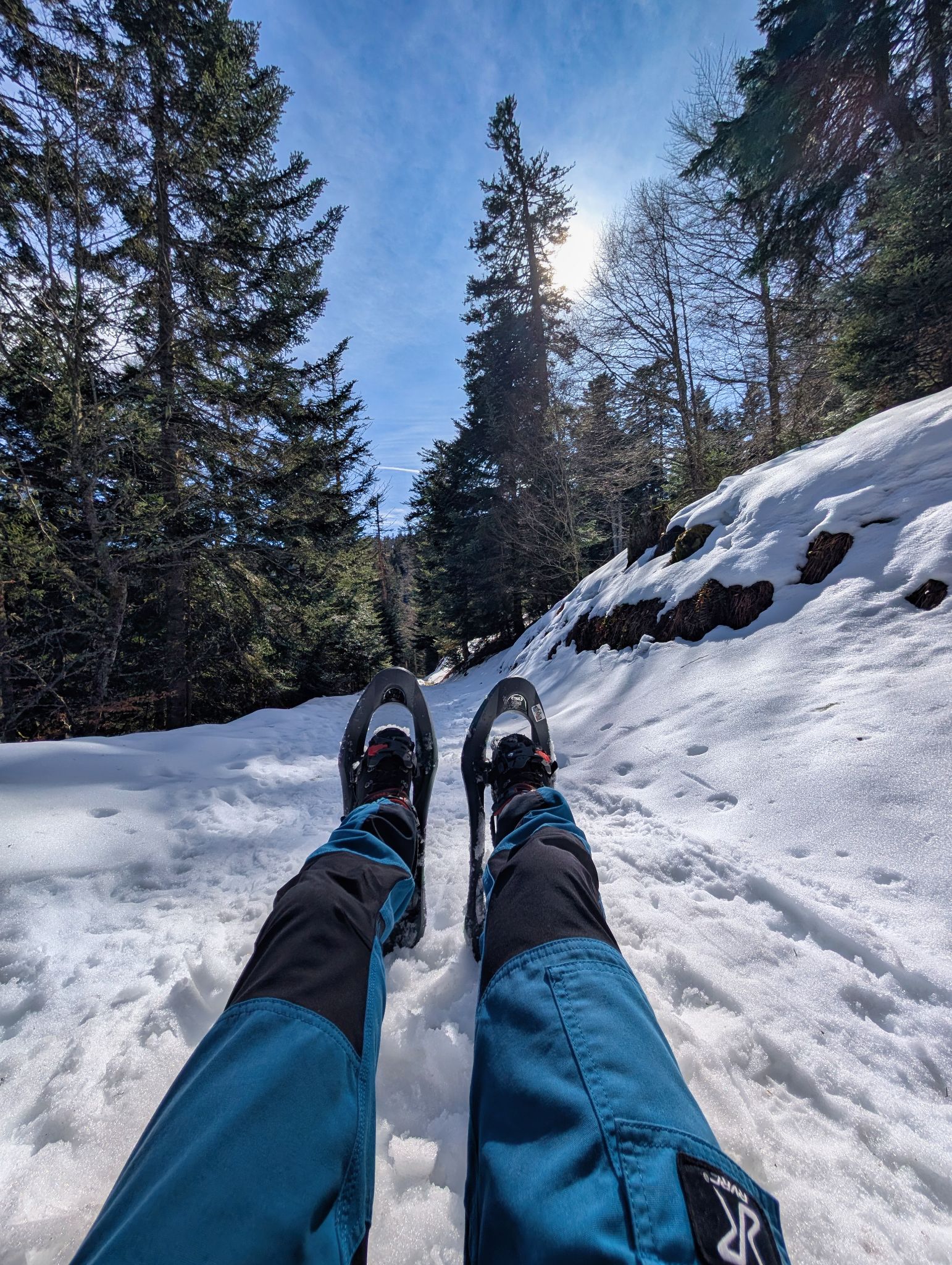 PXL 20260218 122805564