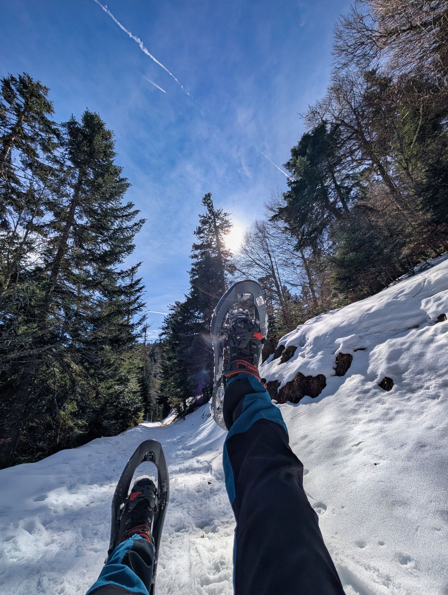 PXL 20260218 122812078