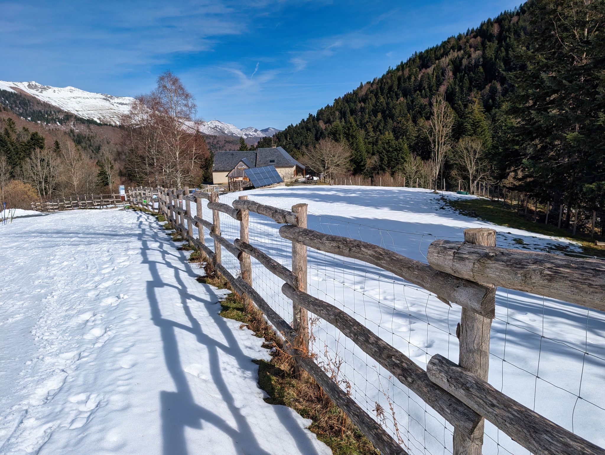 PXL 20260218 125521110