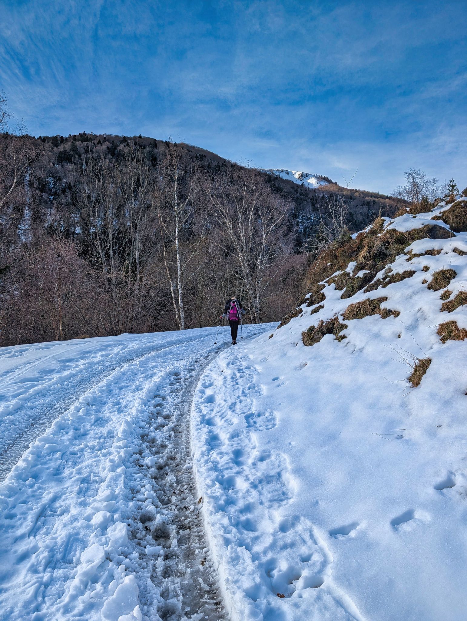 PXL 20260112 102622894.MP