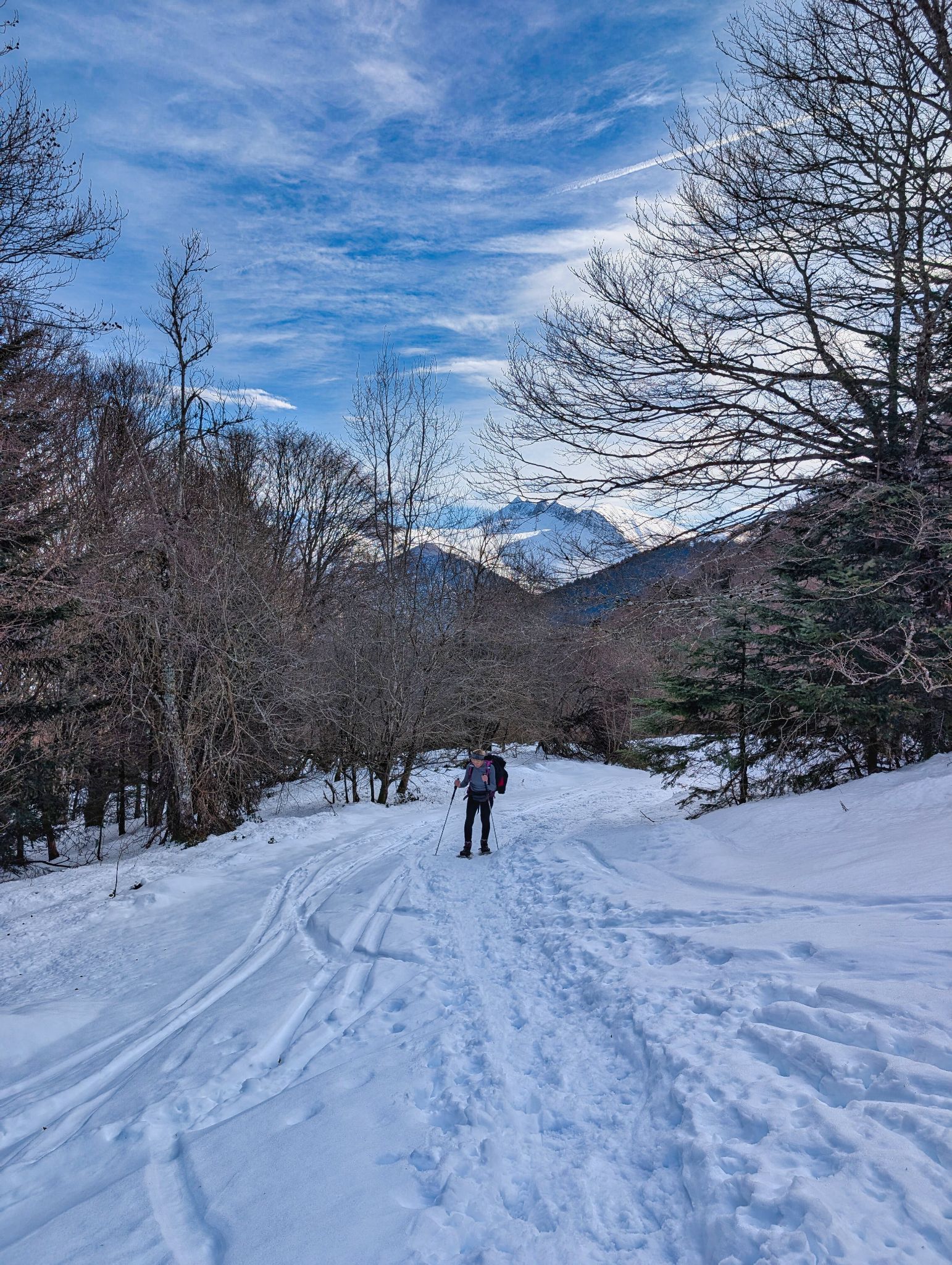 PXL 20260112 110244926