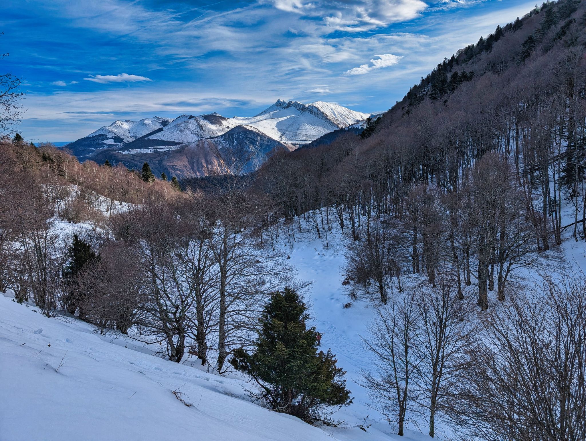 PXL 20260112 111700876.MP