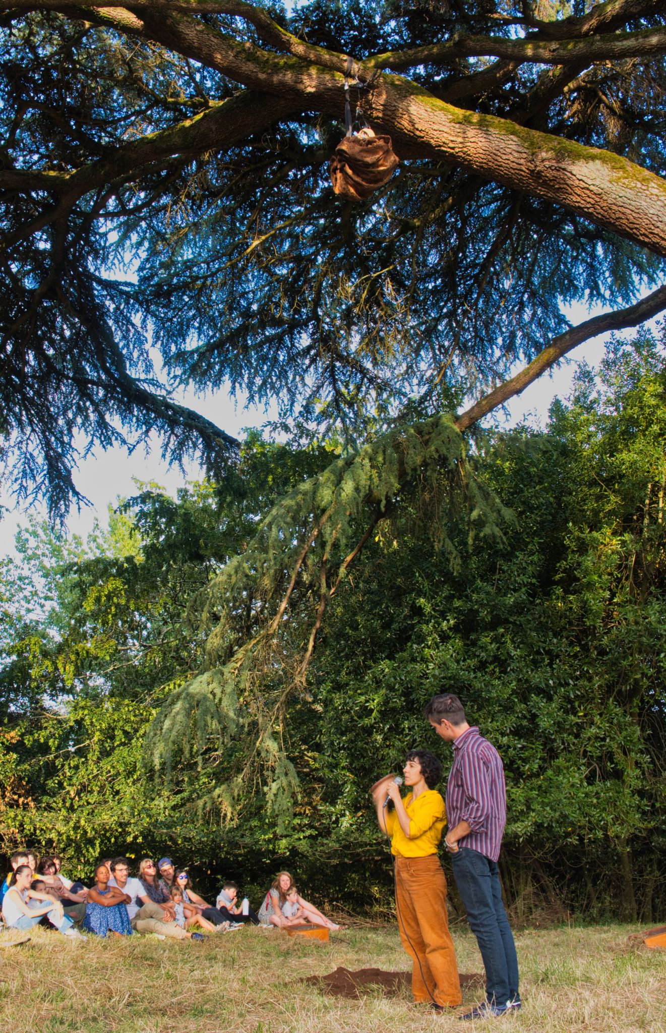 Conversation avec un arbre