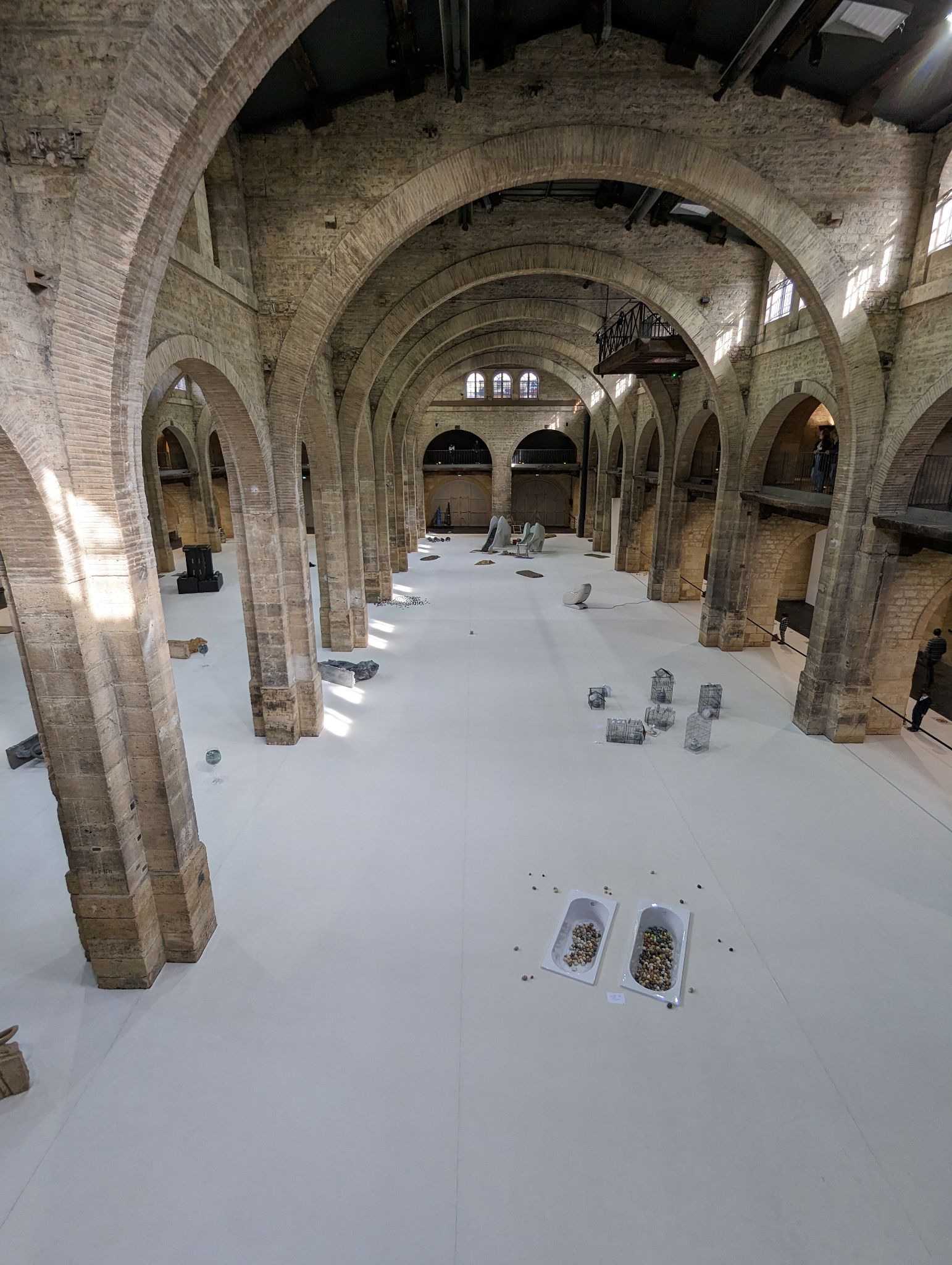 PXL 20240303 141928094