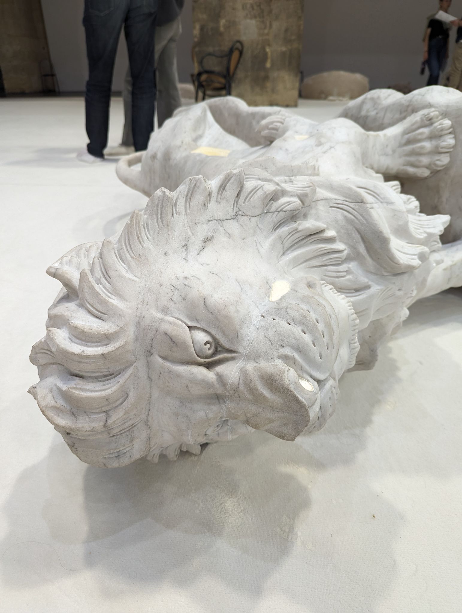 PXL 20240407 144044132