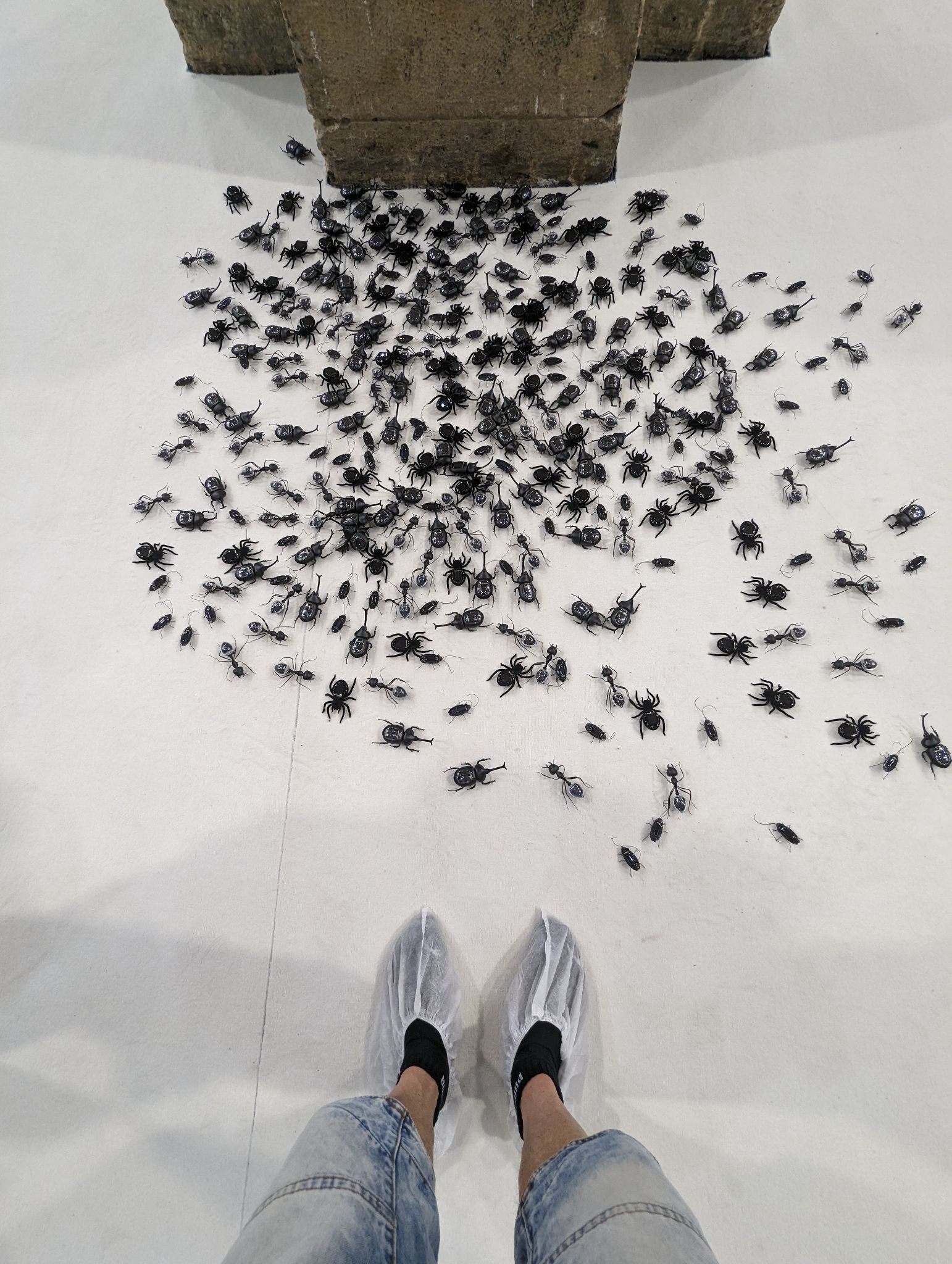 PXL 20240407 144551401