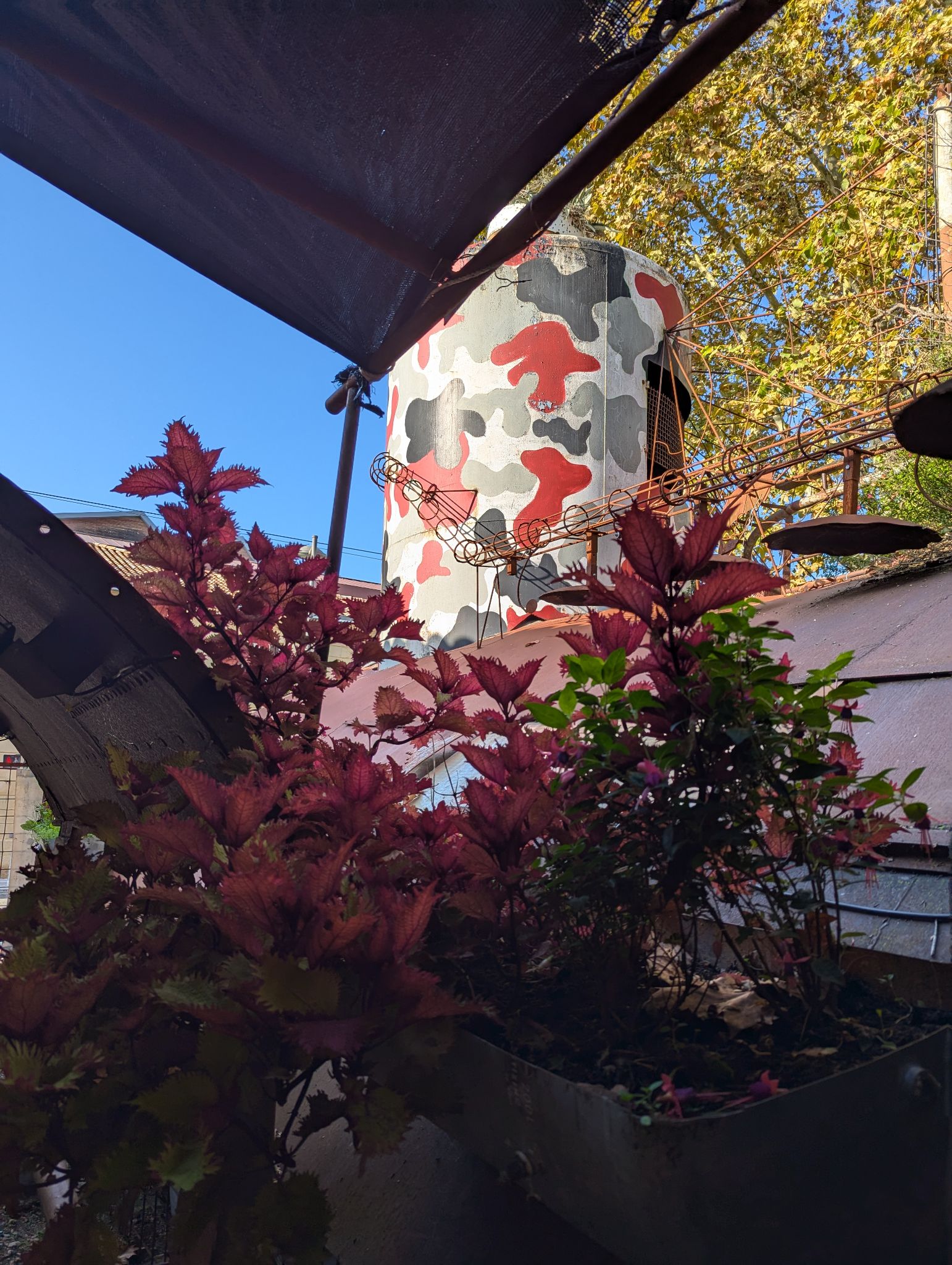 PXL 20241029 135130630.MP