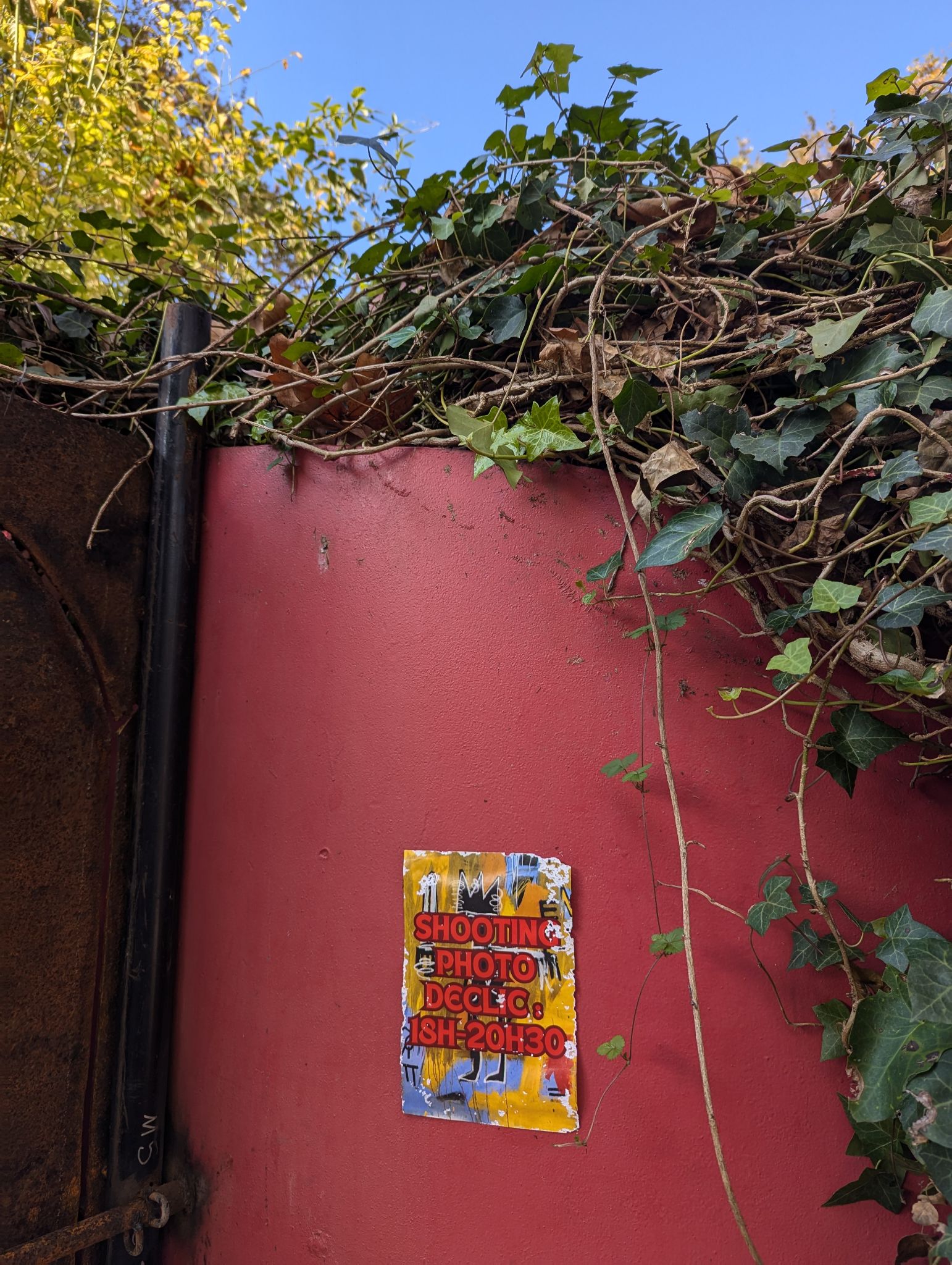 PXL 20241029 135233666