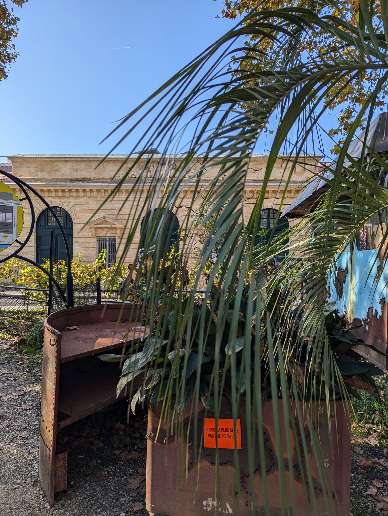 PXL 20241029 135343239