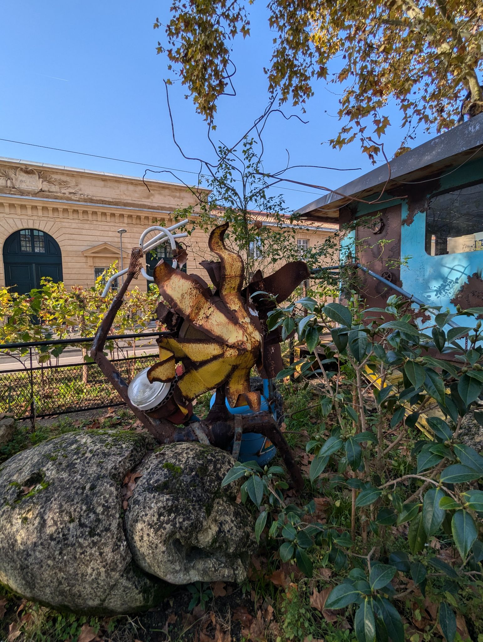 PXL 20241029 135404039