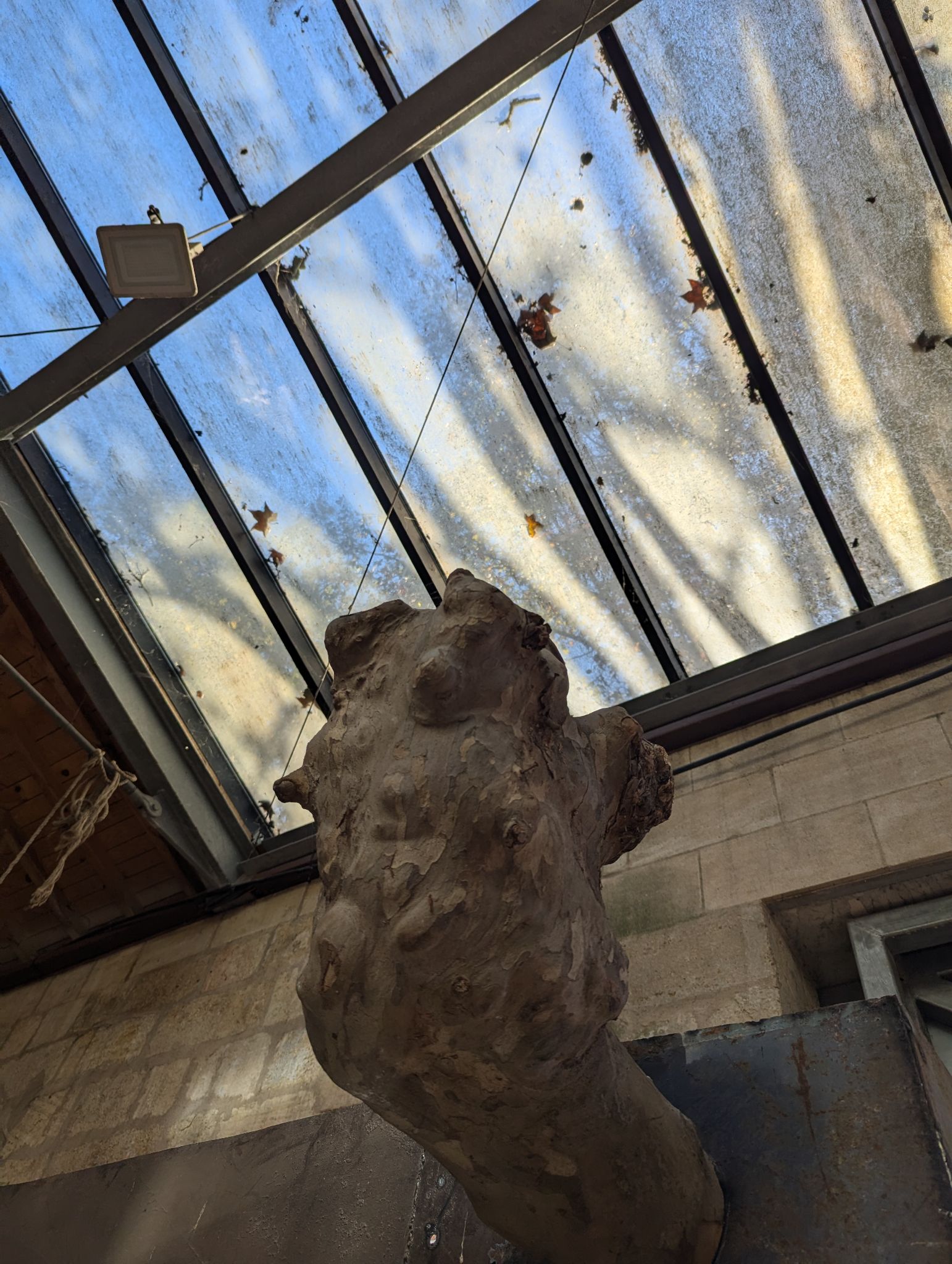 PXL 20241102 131829934