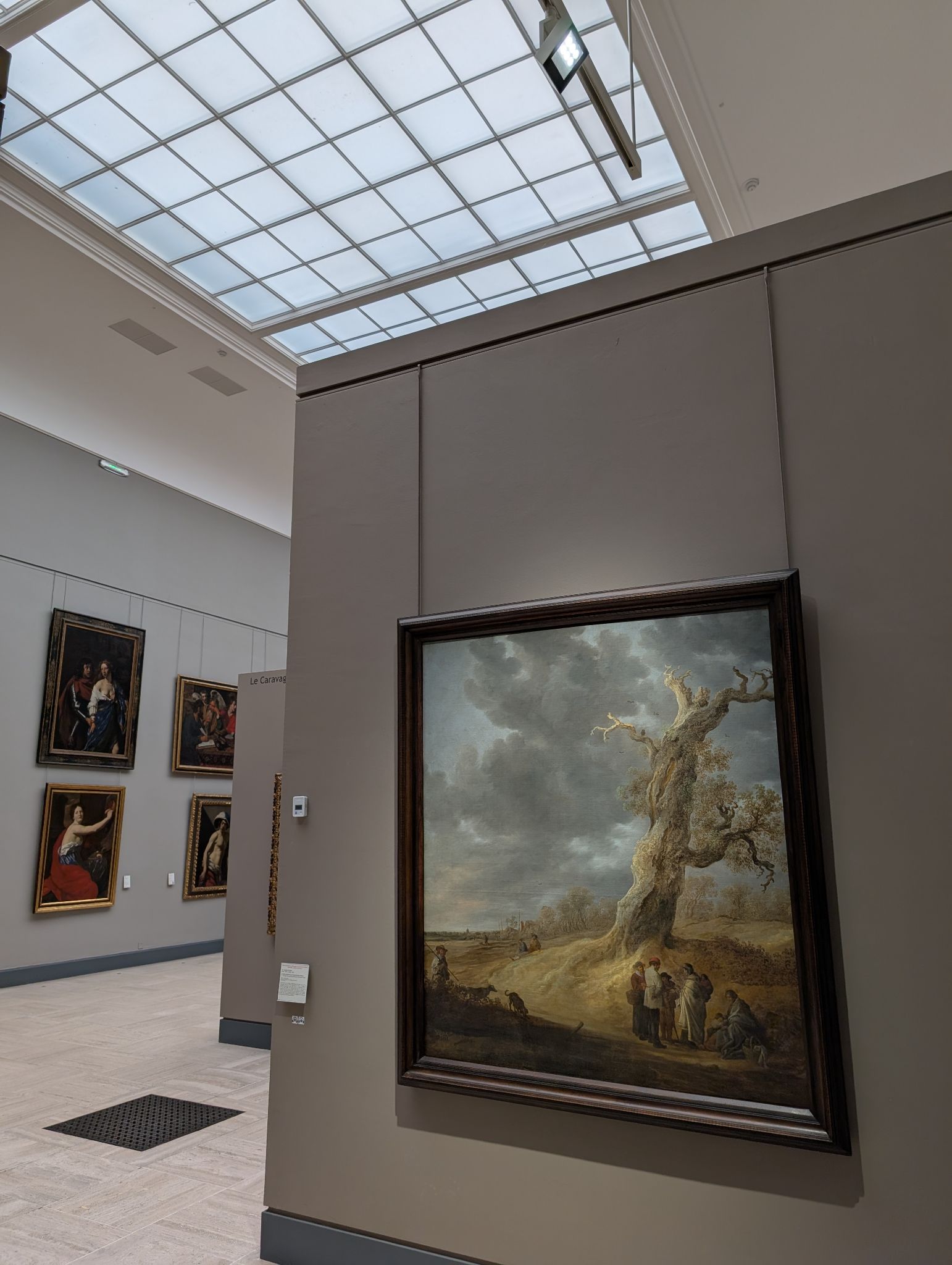 PXL 20250129 143954504