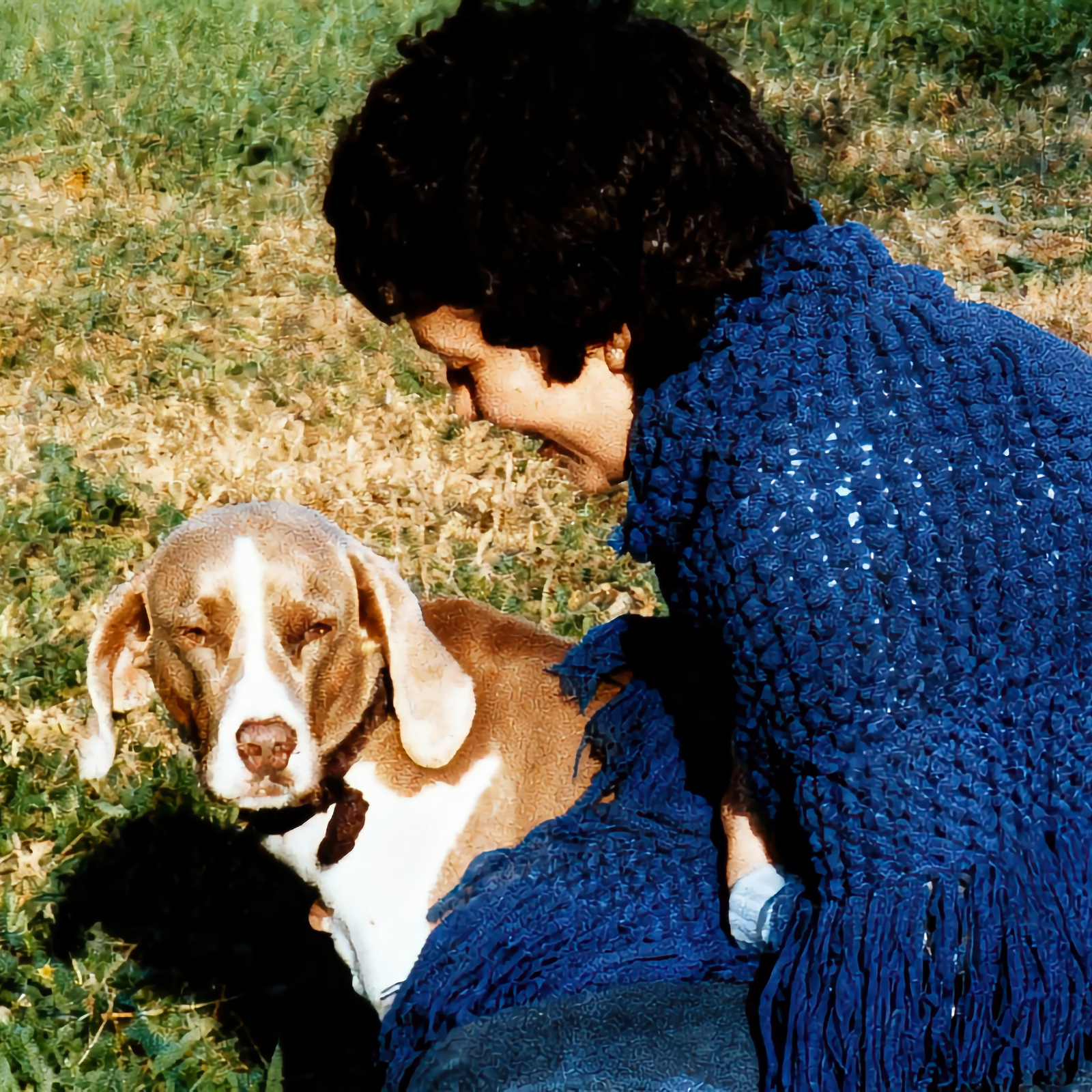 Vero jemea 1 Restored