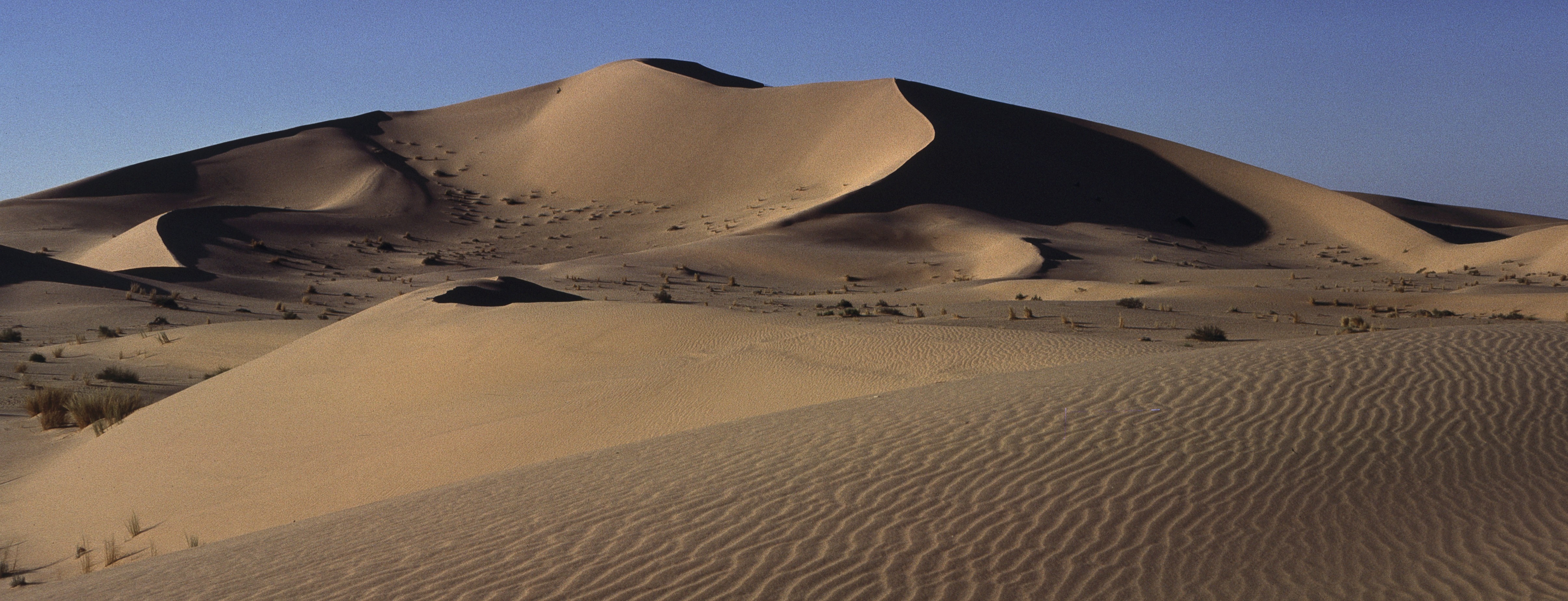 Sahara 21 1980