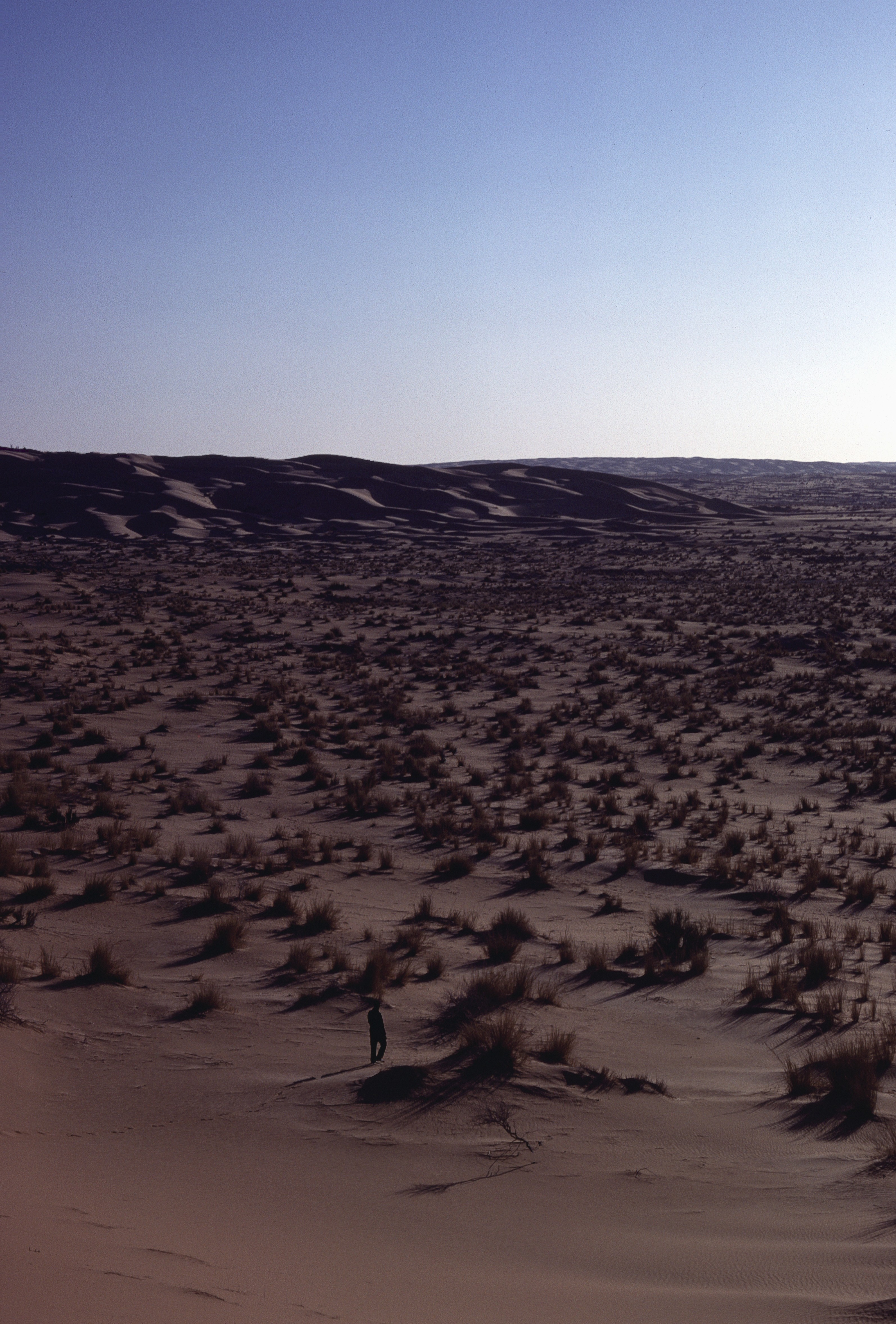 Sahara 8 1981