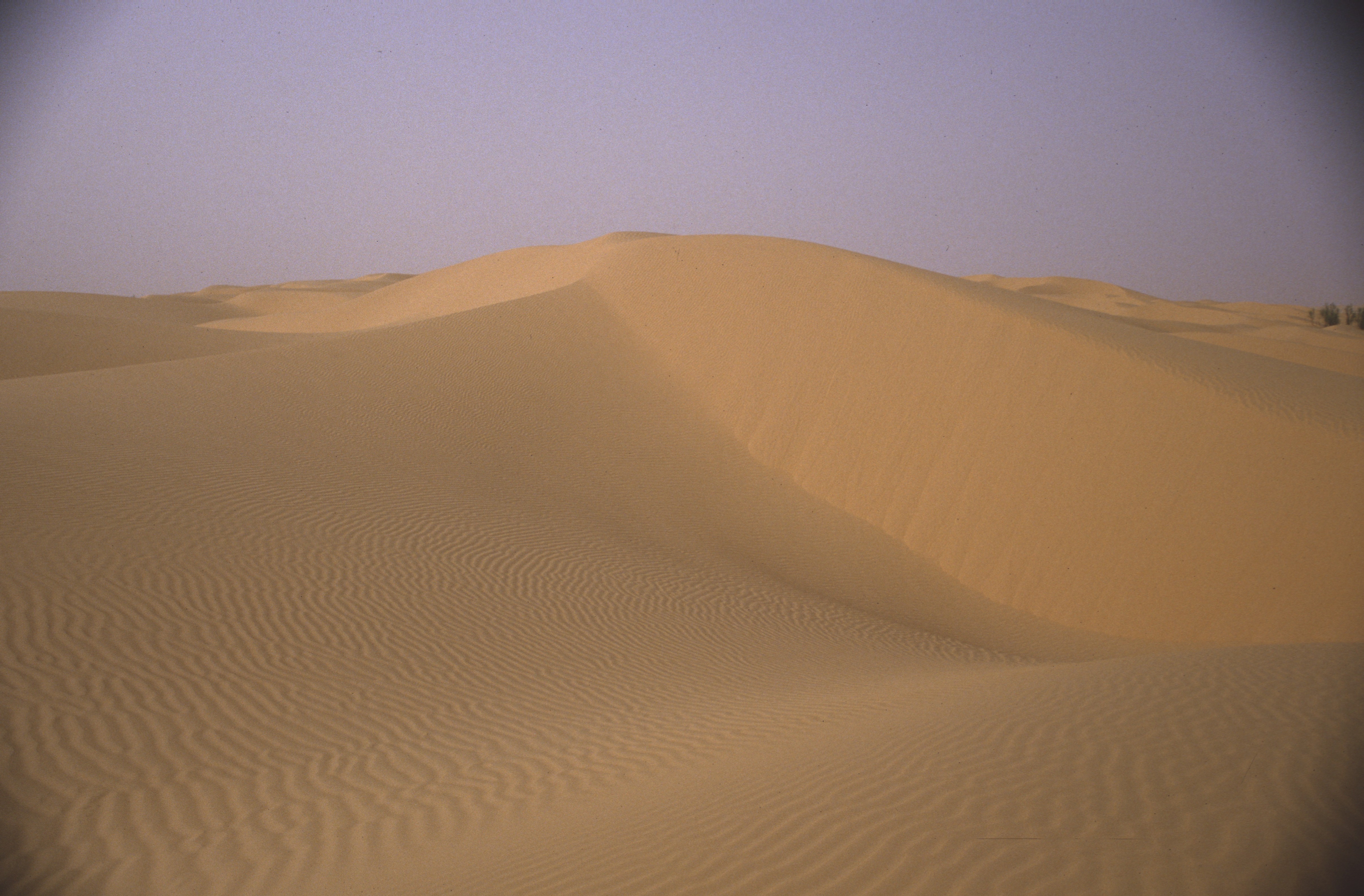 Tunisie 12 1985