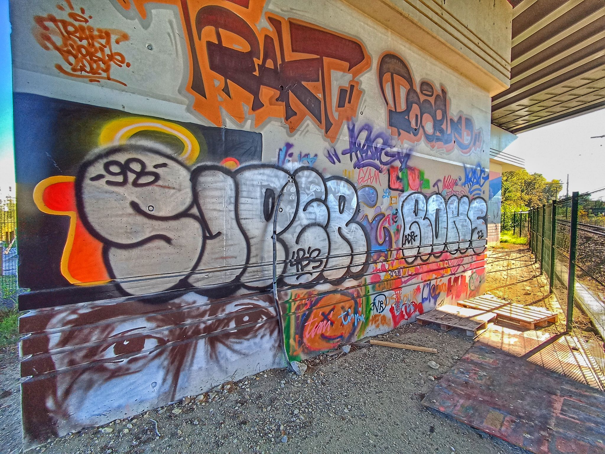 IMG 20221111 114356 01