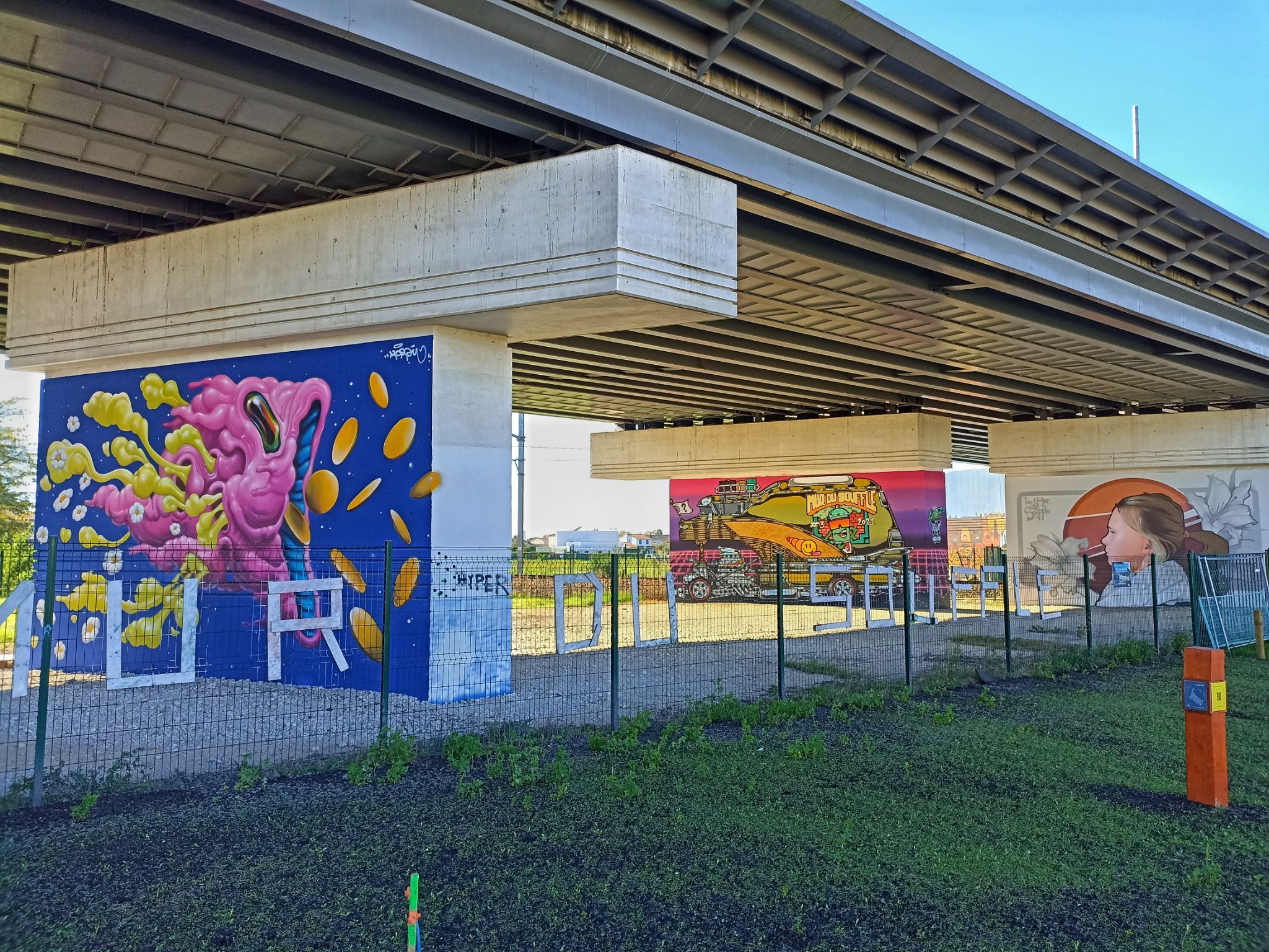 IMG 20221111 115047 01