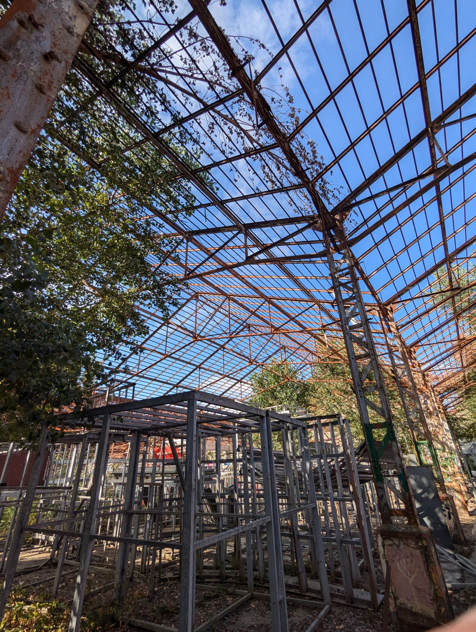 PXL 20240815 153755709