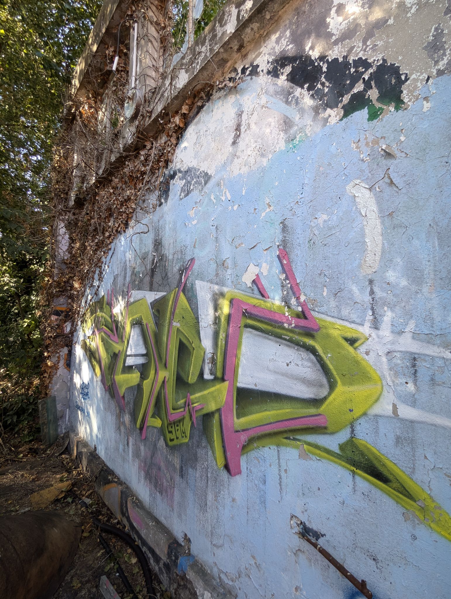 PXL 20240815 154646417