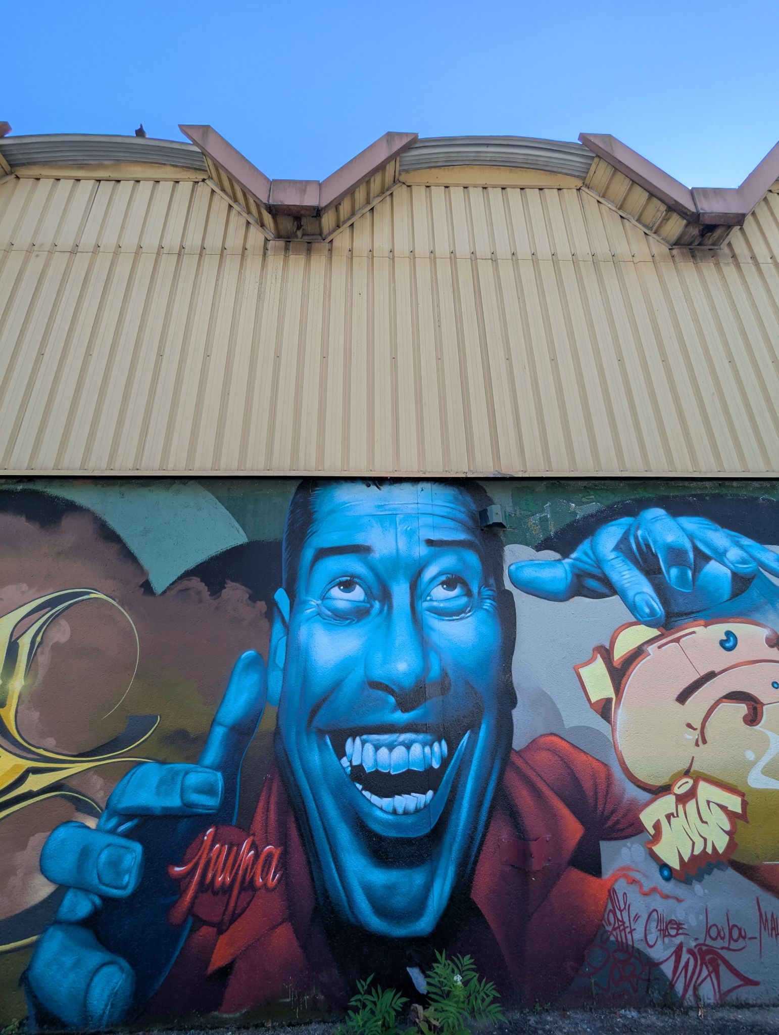 PXL 20240815 154954224