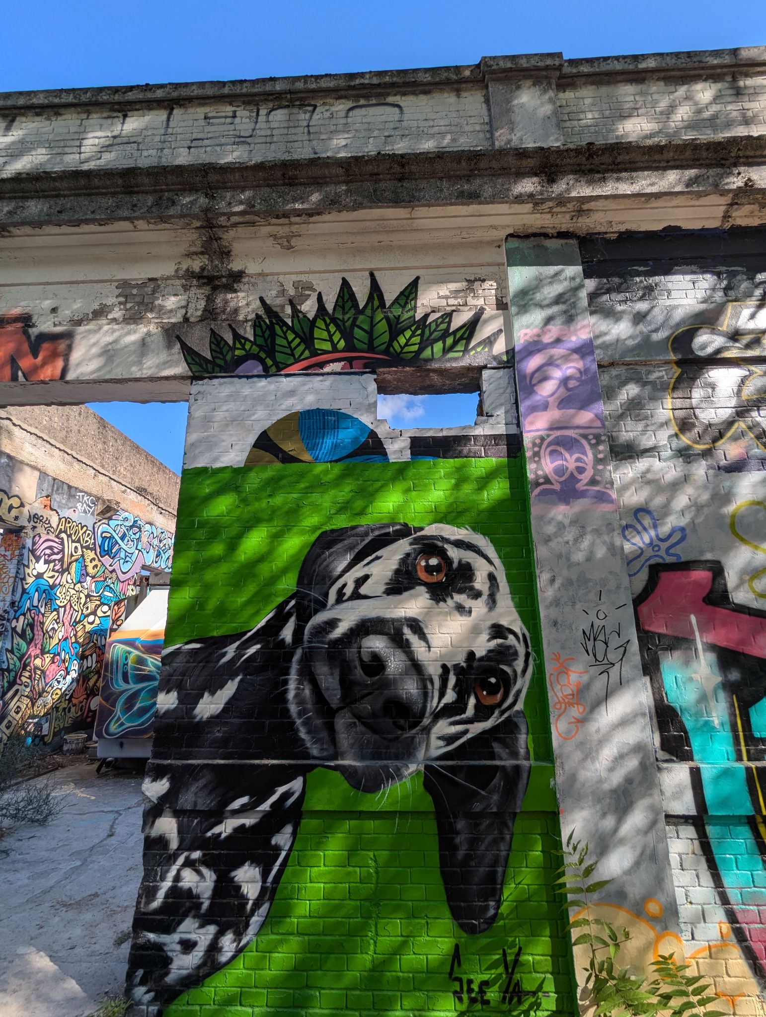 PXL 20240815 155308198