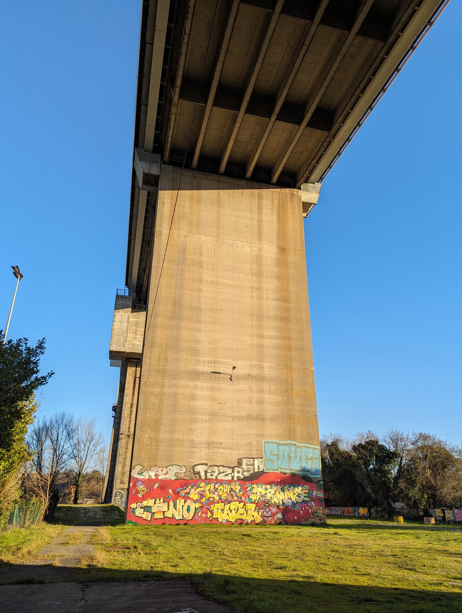 PXL 20240125 154924461