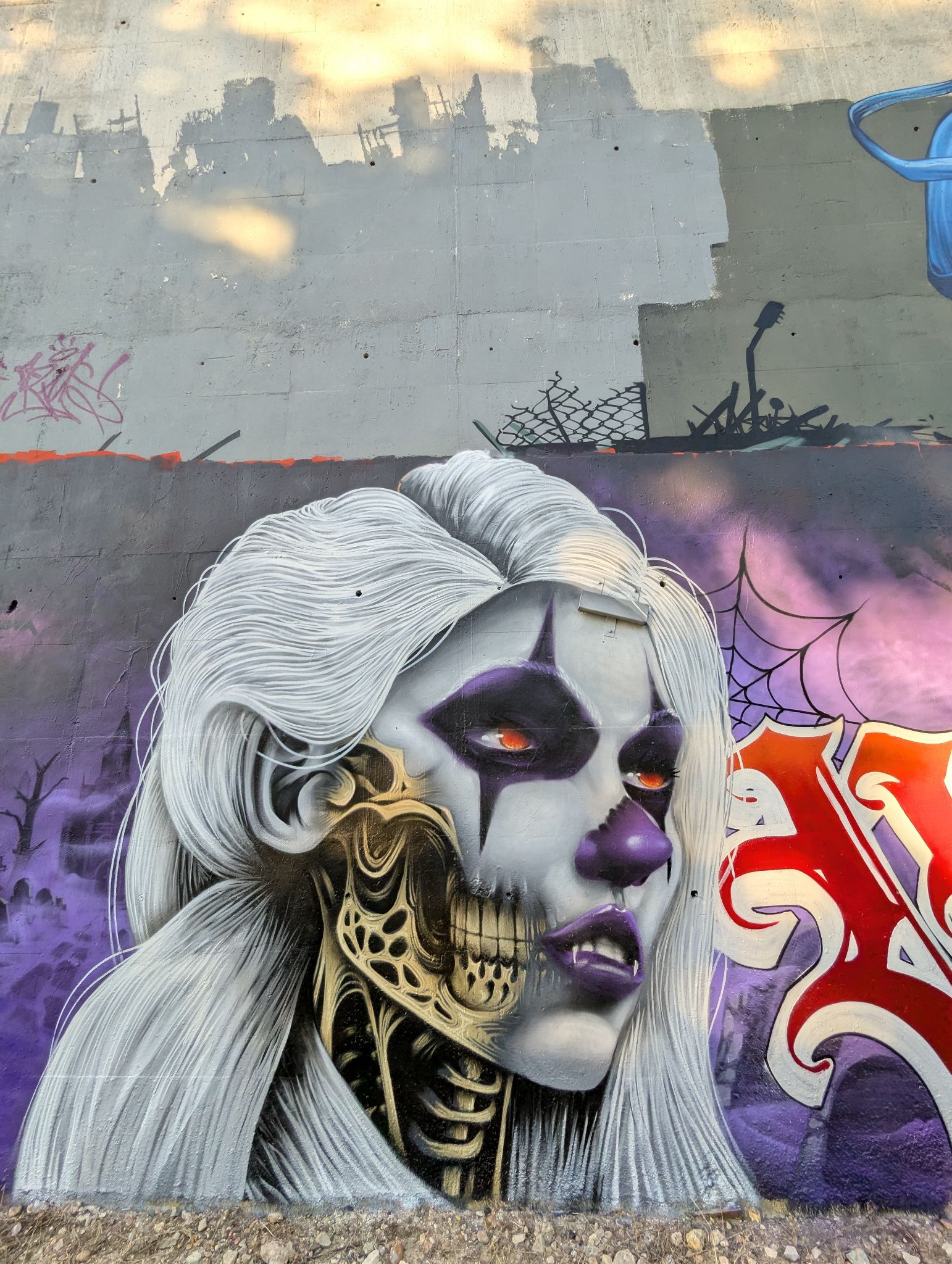 PXL 20241113 151750793