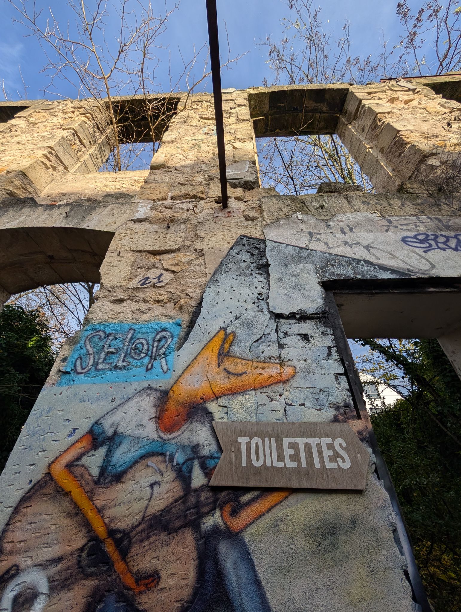 PXL 20251216 135318649