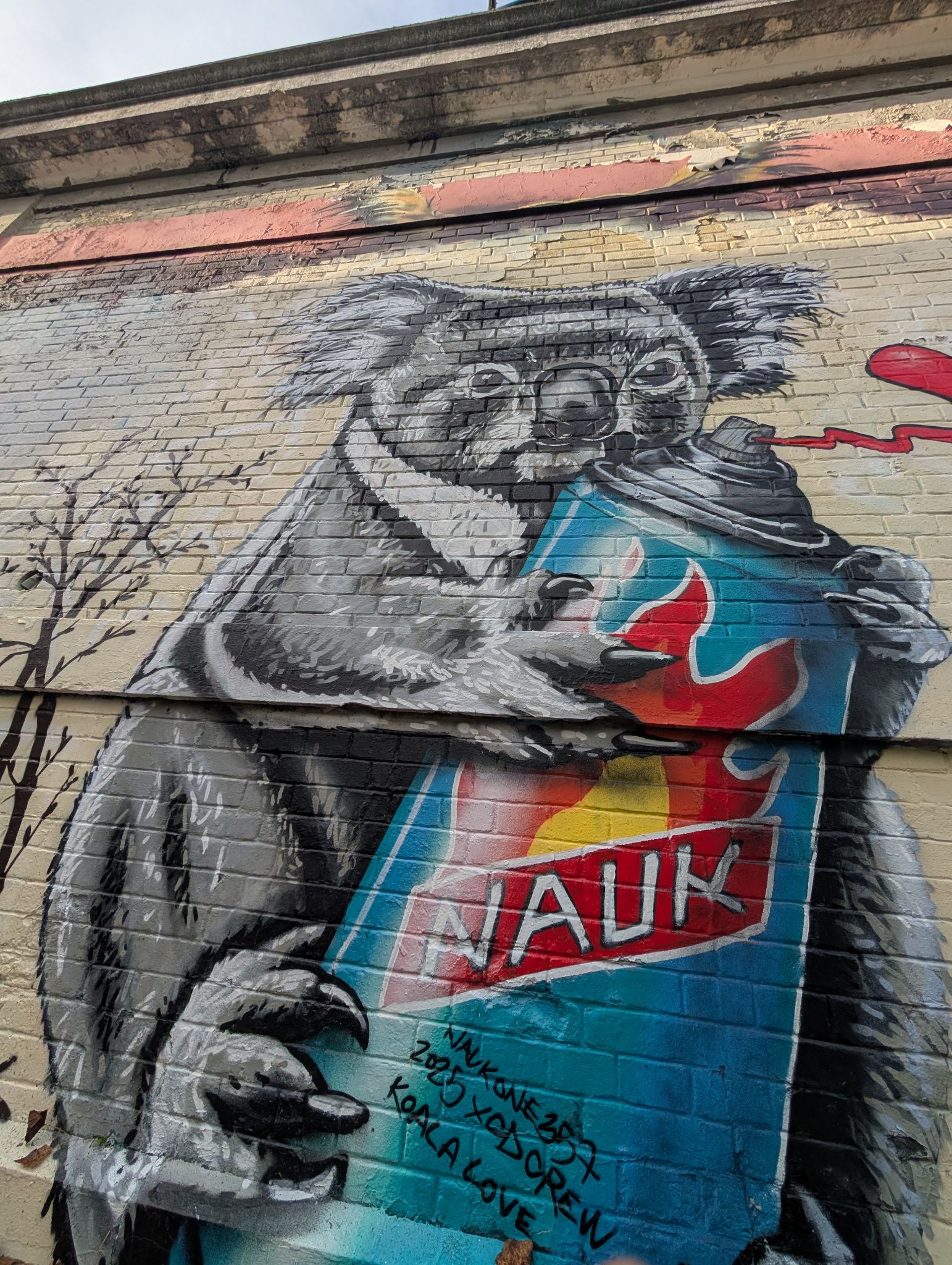 PXL 20251216 135913032