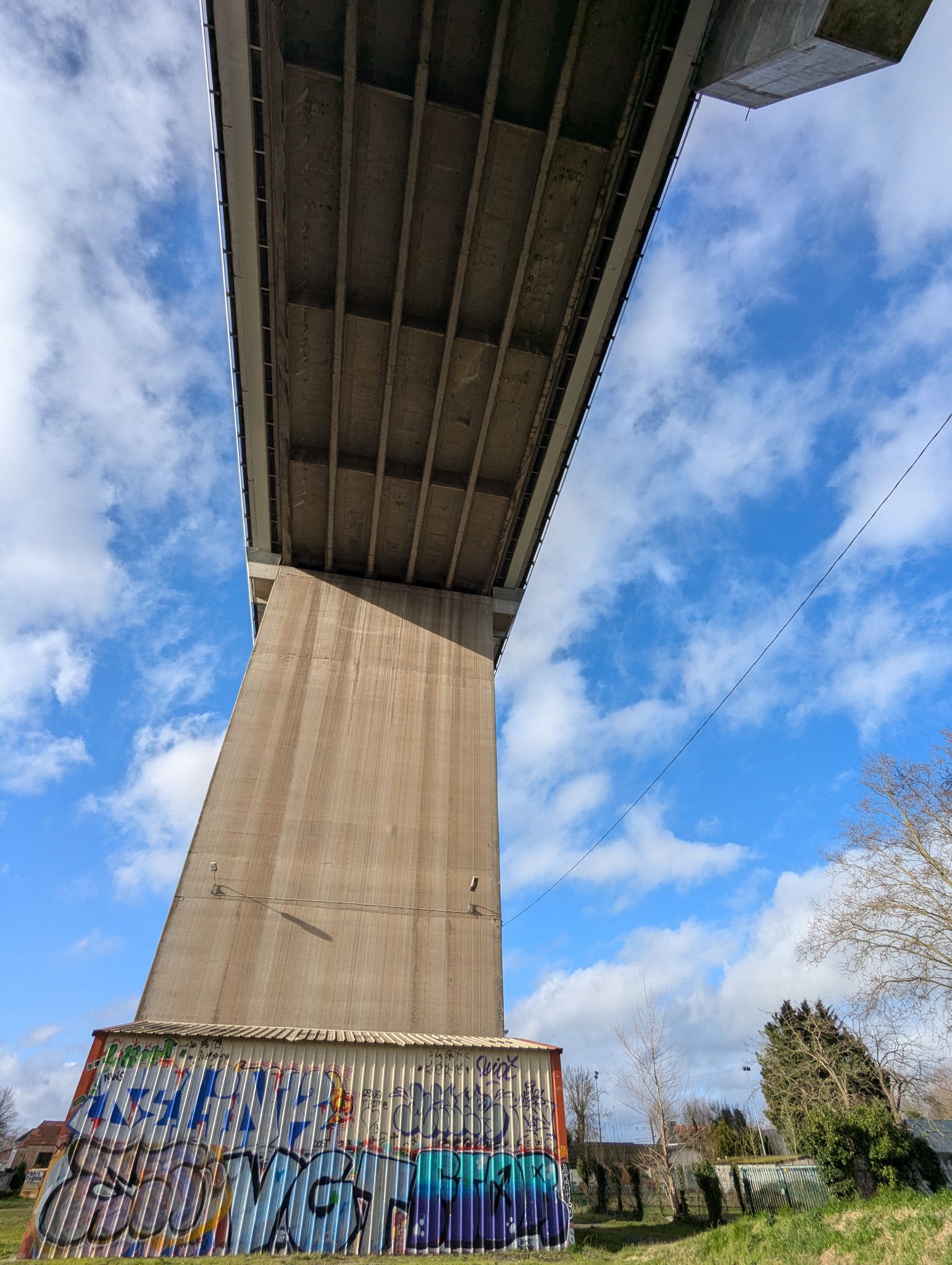 PXL 20250109 122050586