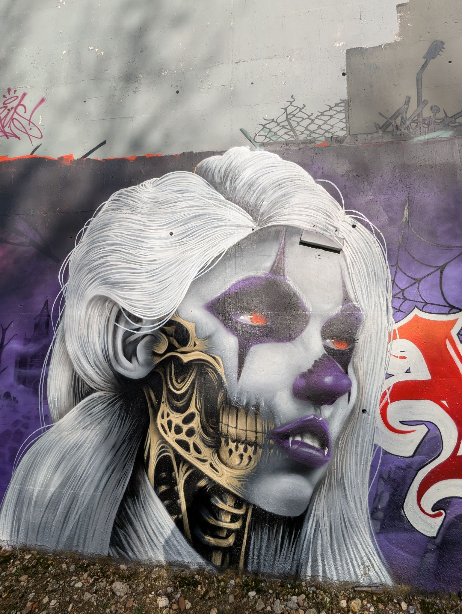 PXL 20250109 122127745