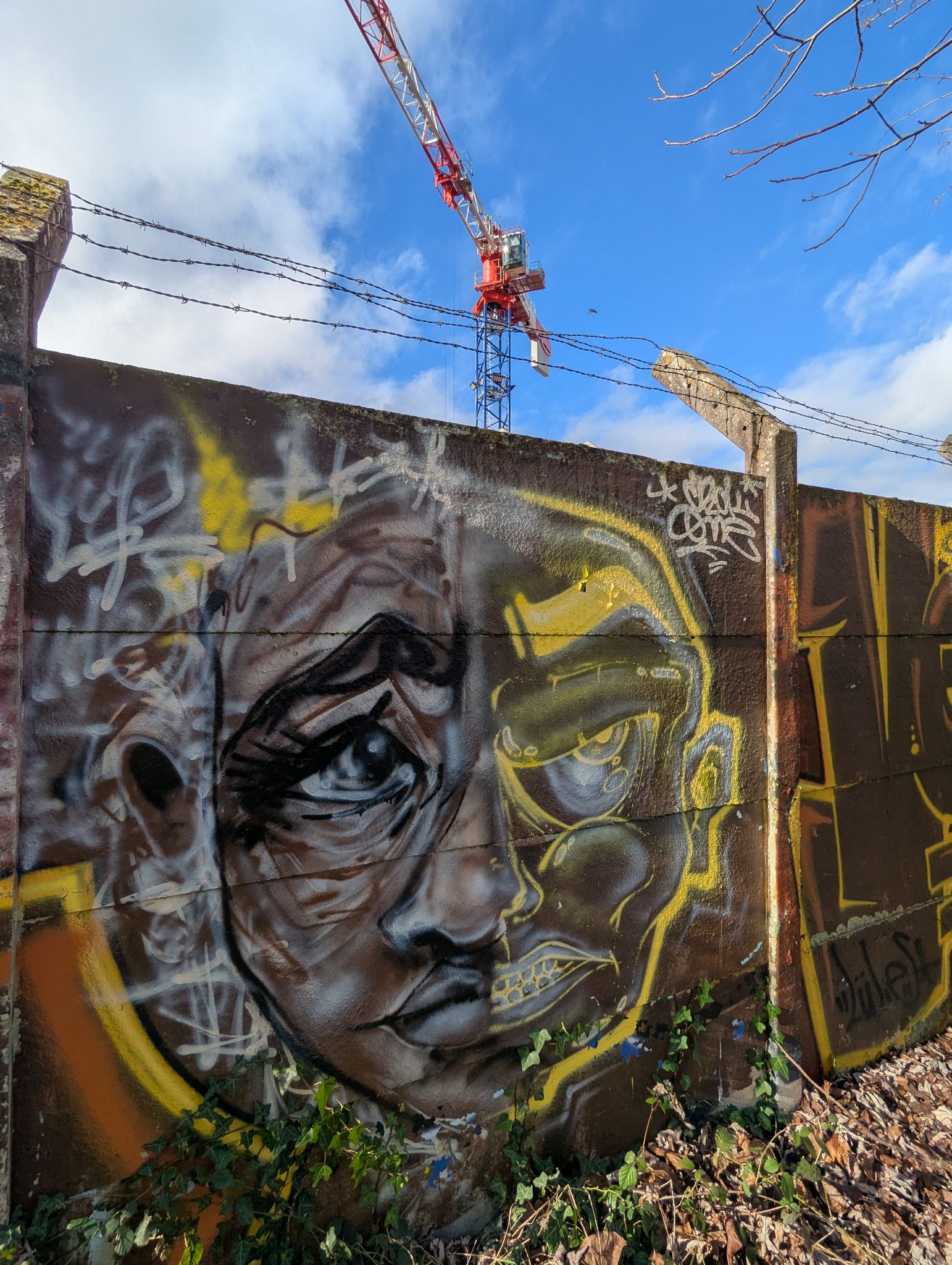 PXL 20250109 122522340