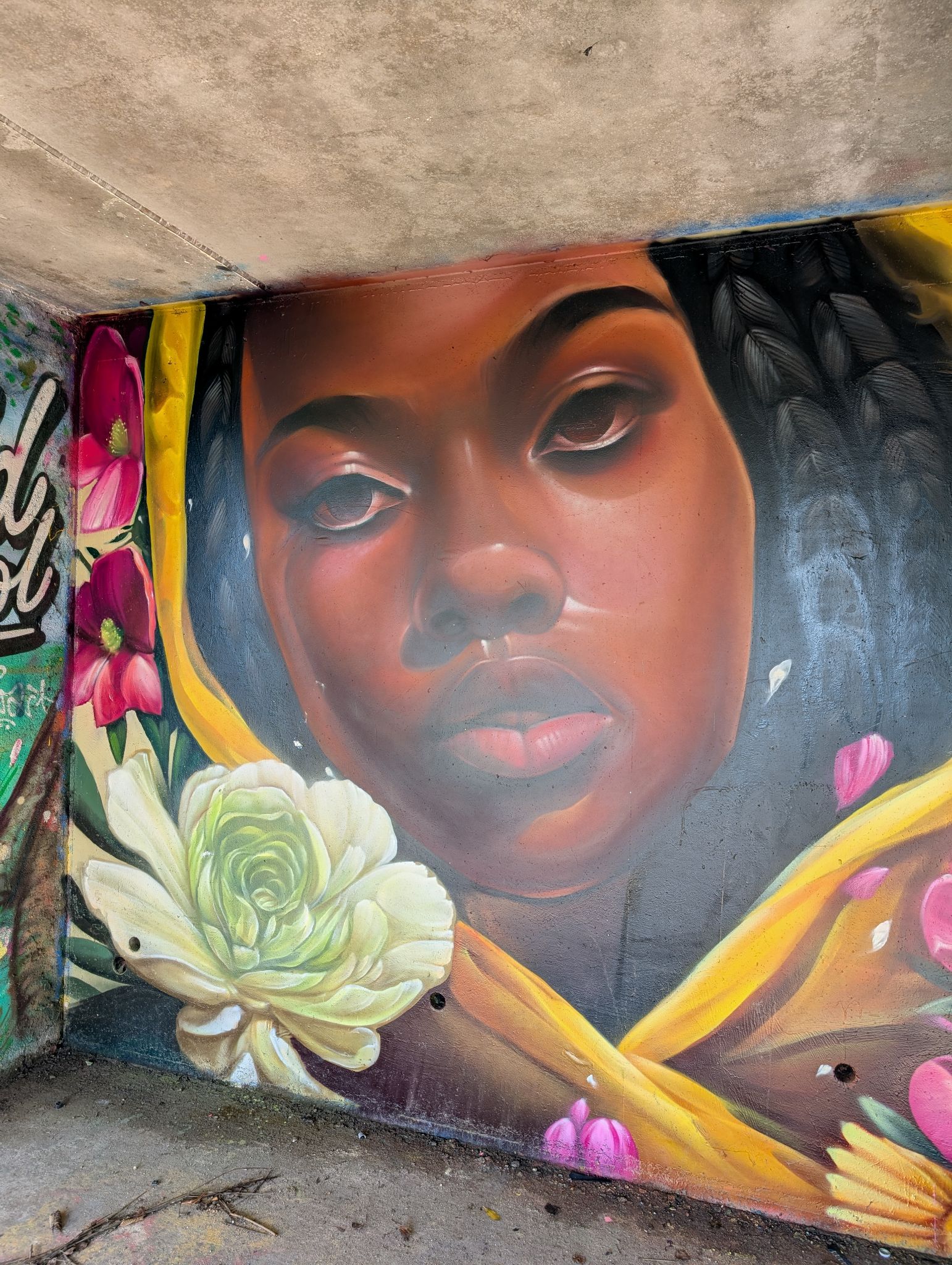 La chartreuse Bel Sito 