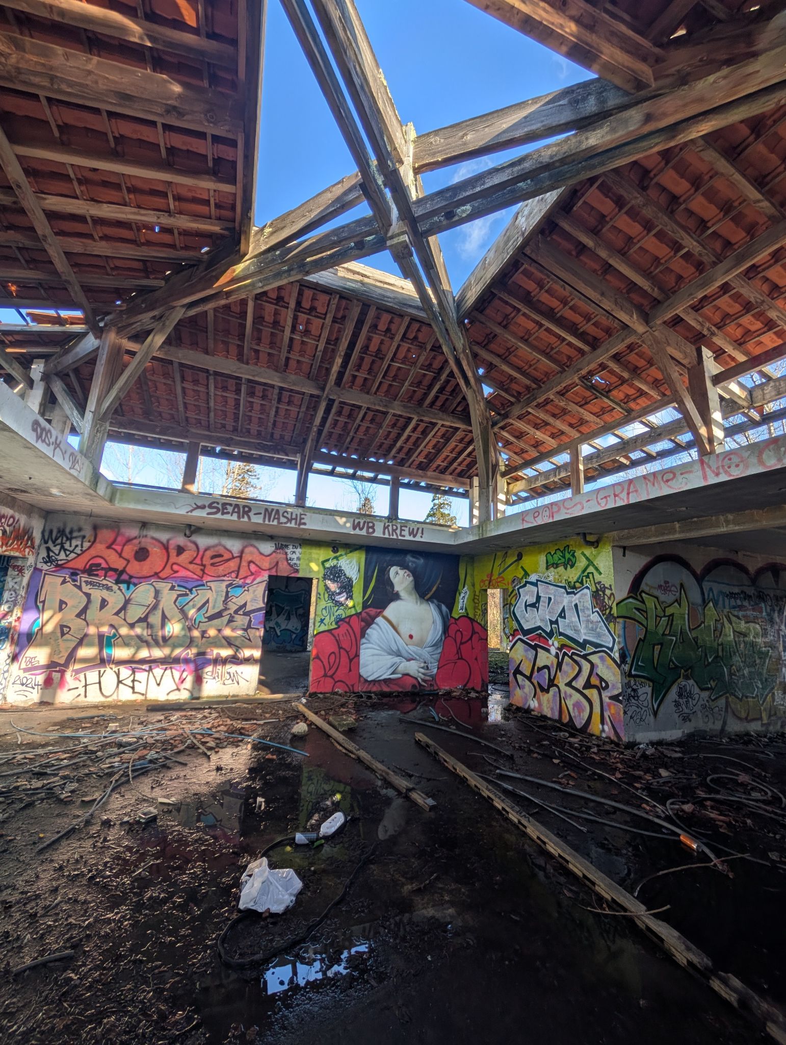 PXL 20250112 135716207