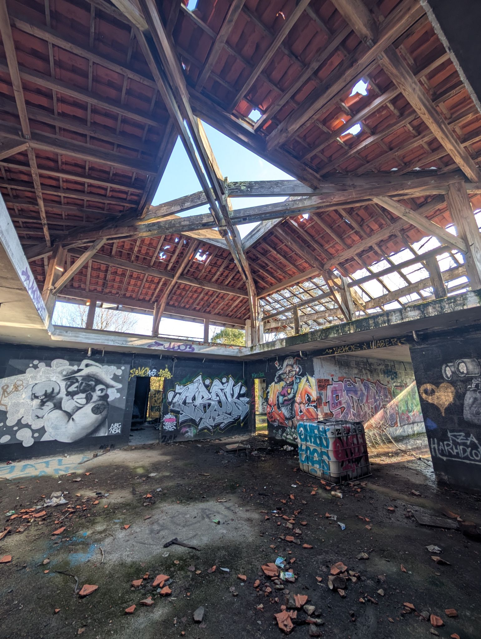 PXL 20250112 140249101