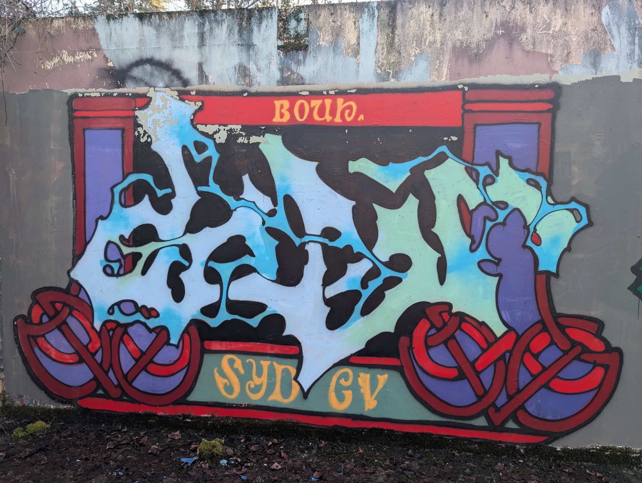 PXL 20250112 142520439