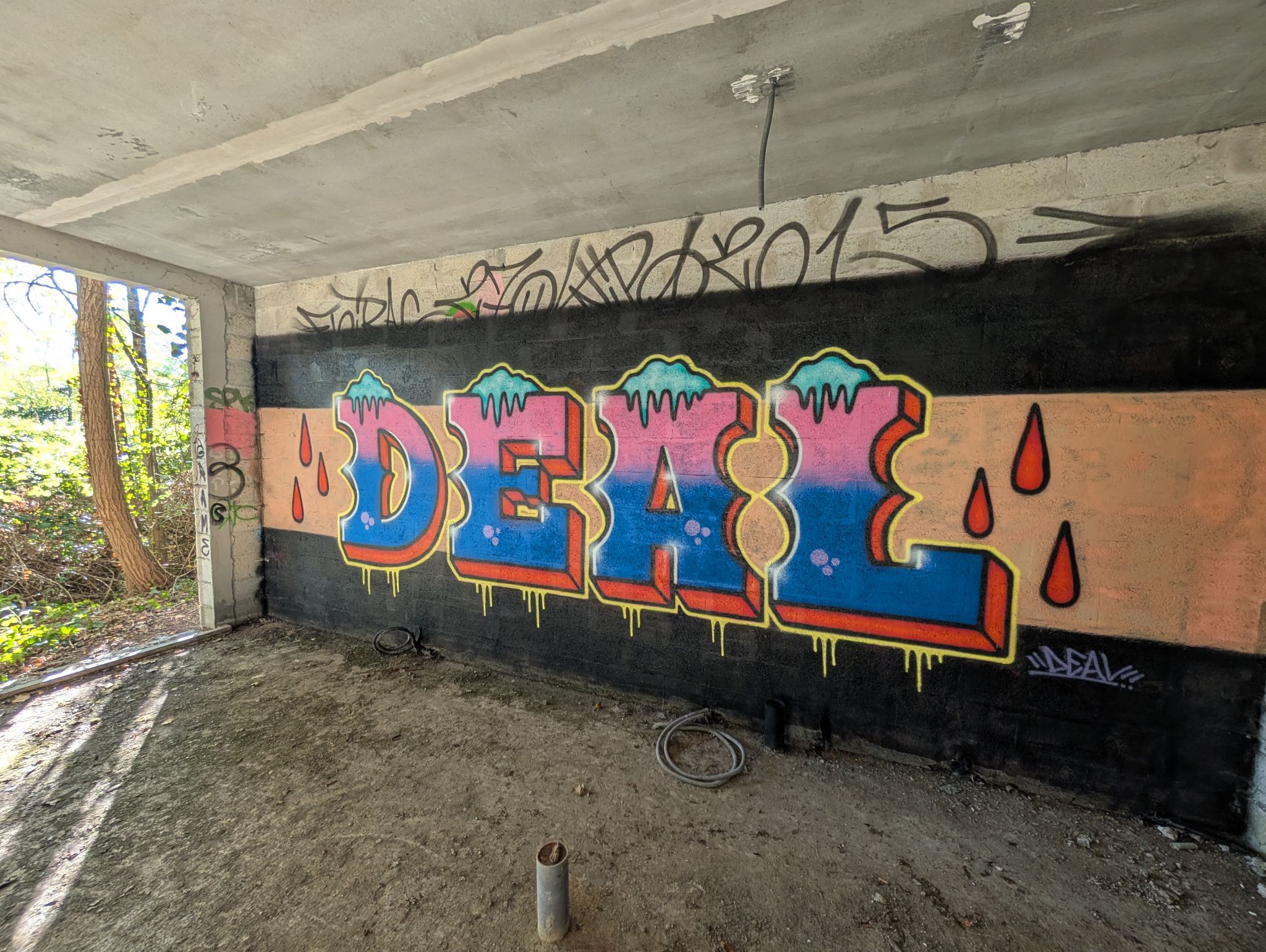 PXL 20251018 150058970