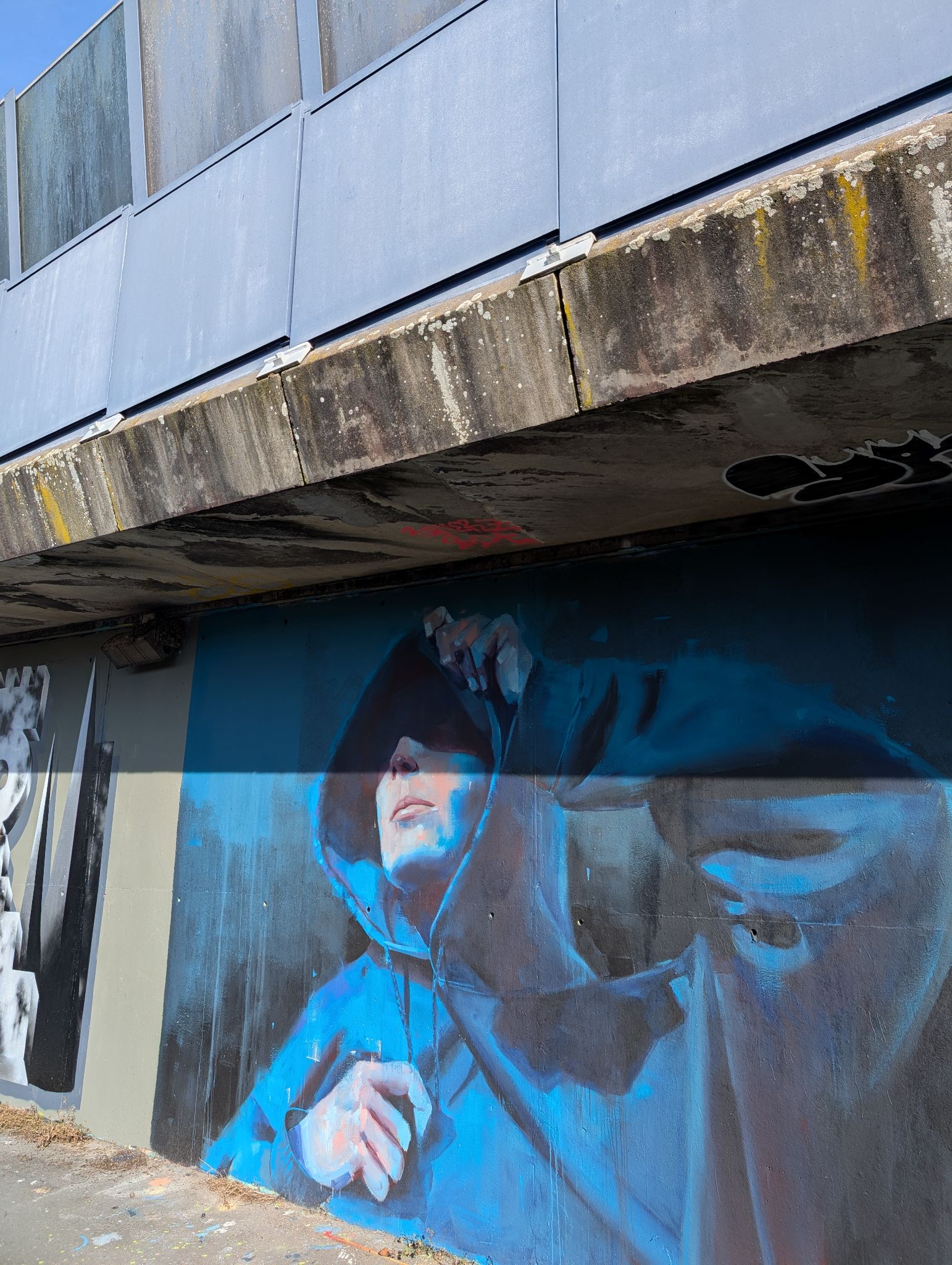 PXL 20250205 135019047