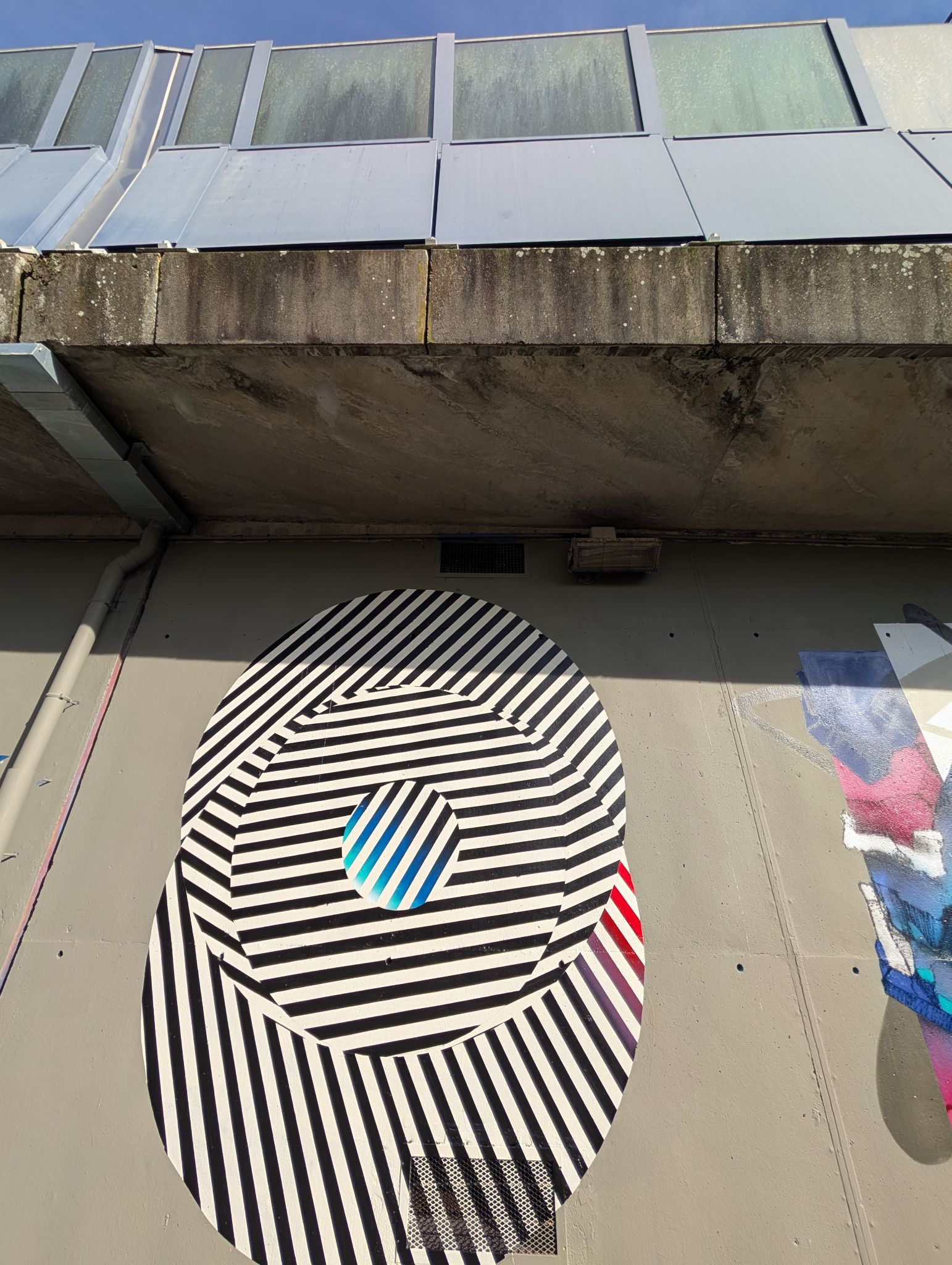 PXL 20250205 135109754