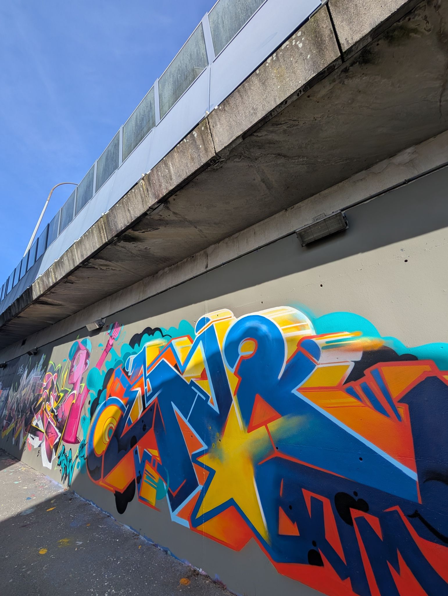 PXL 20250205 135213617