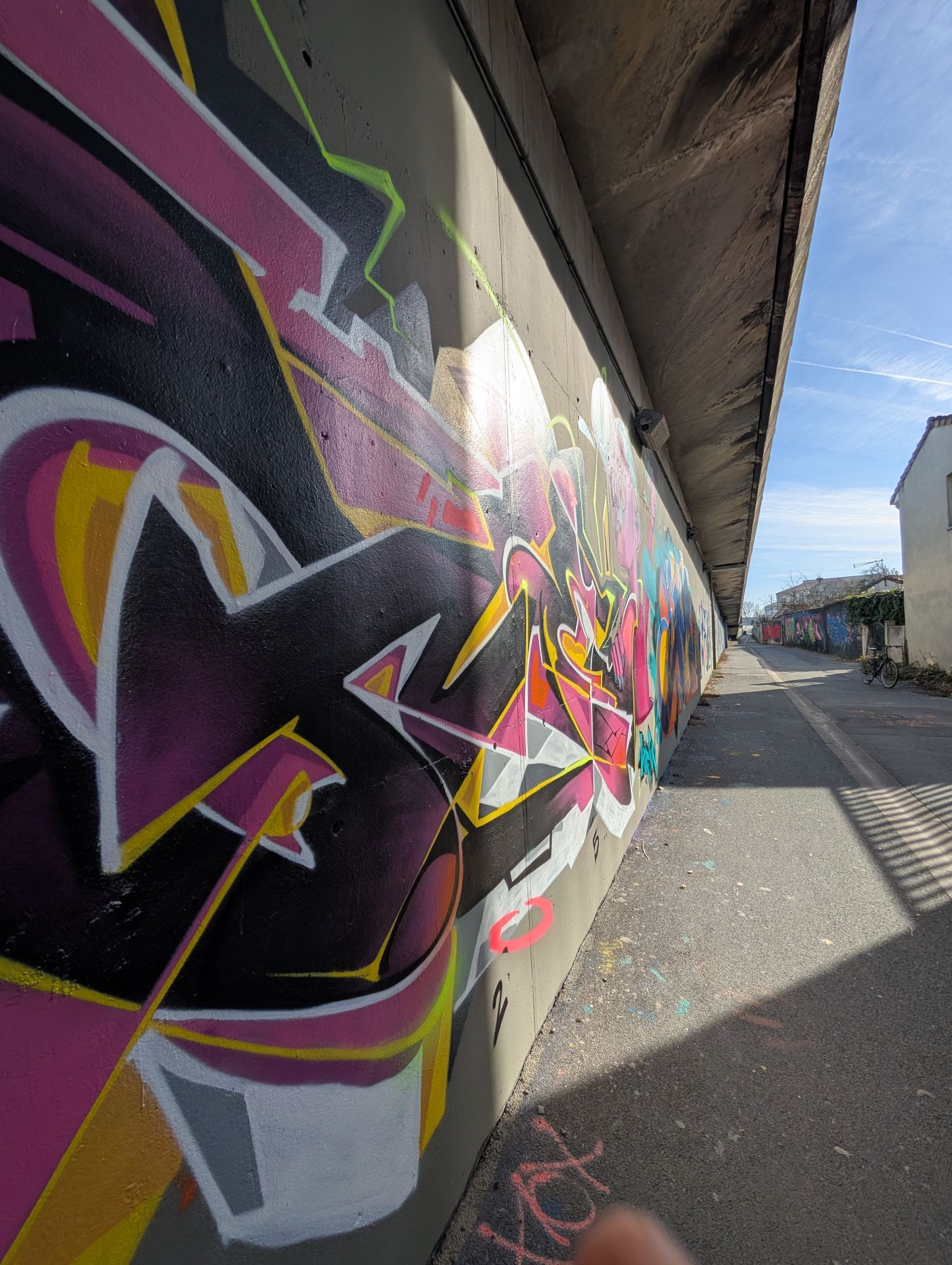 PXL 20250205 135318219