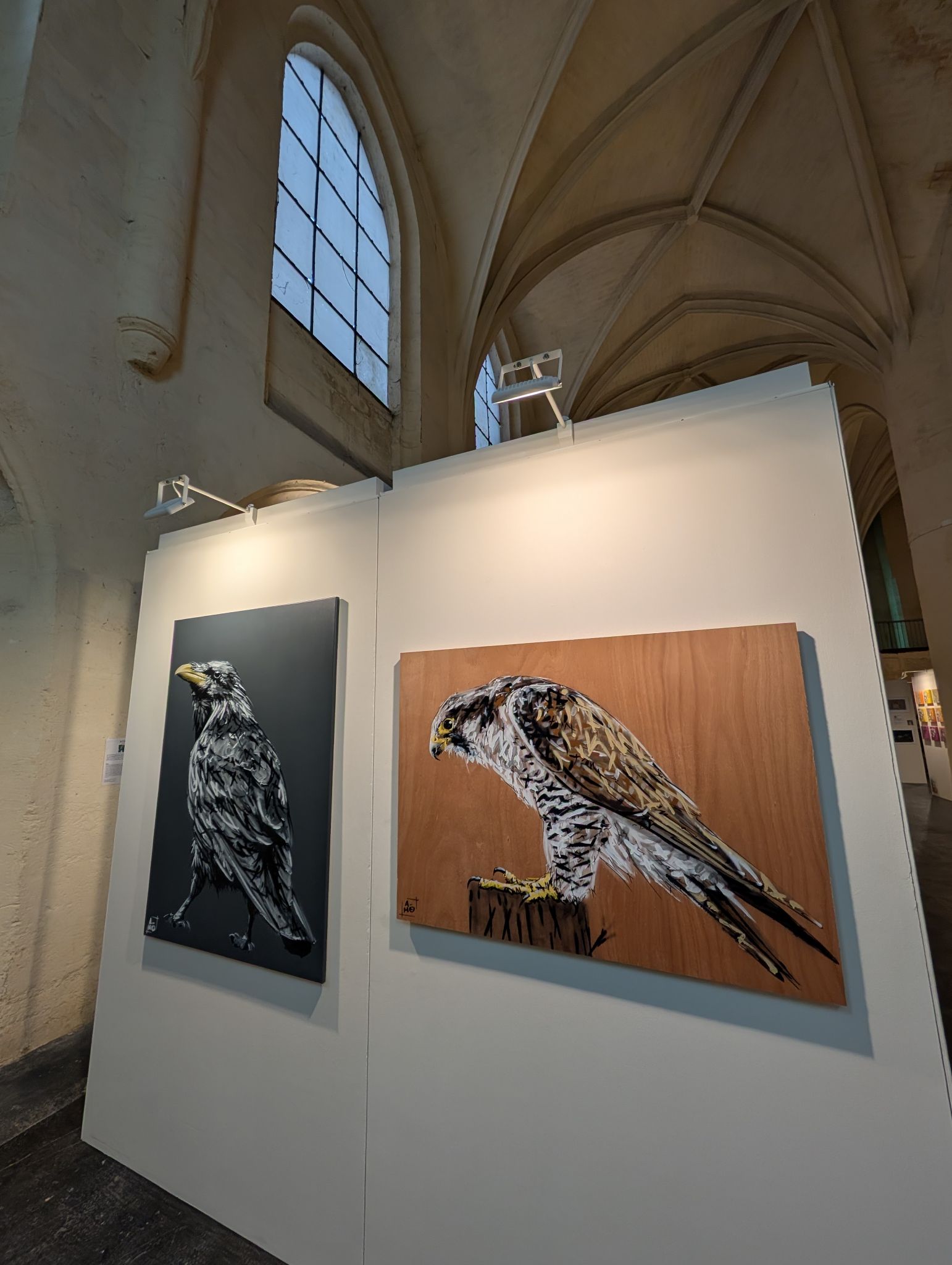 PXL 20250213 130210142