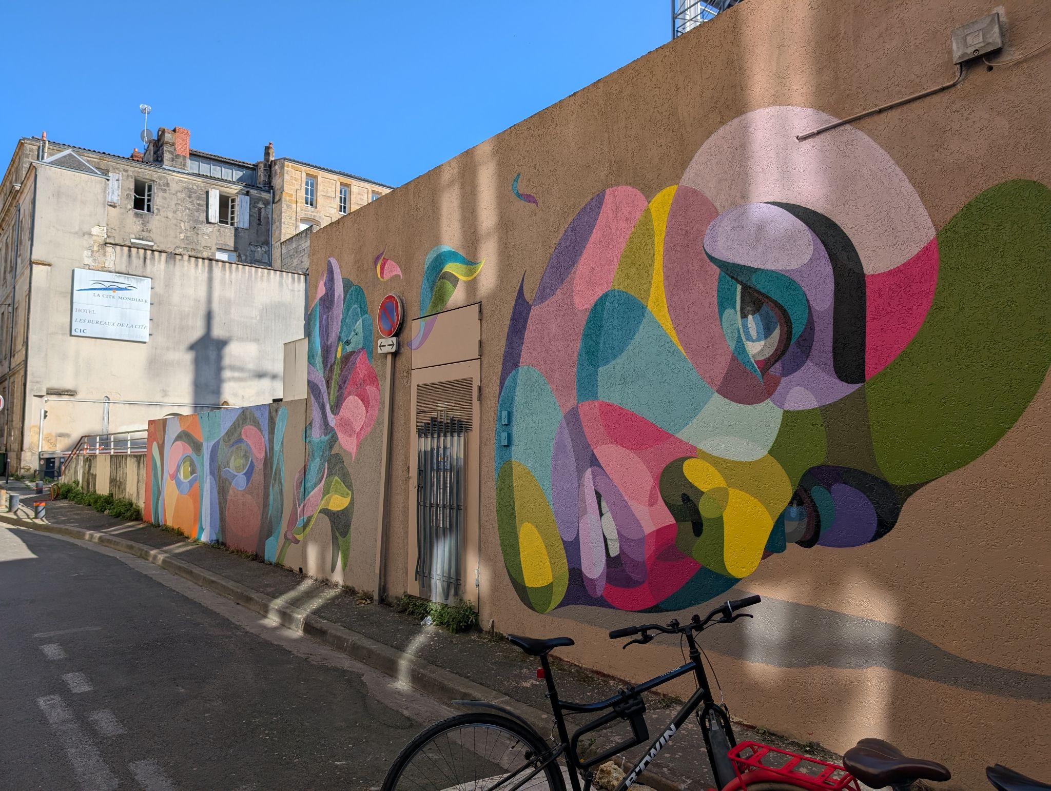 PXL 20250408 145139362