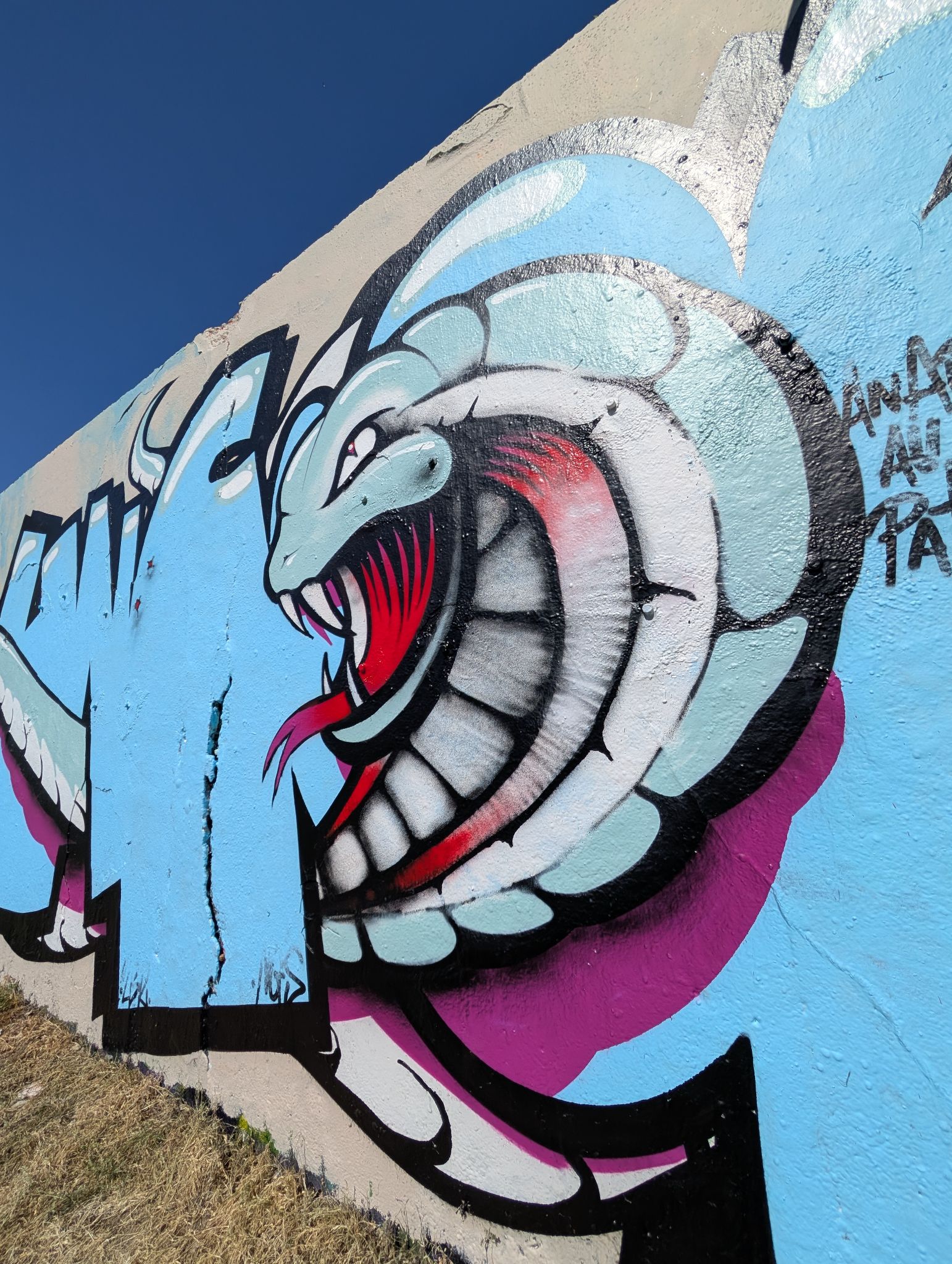 PXL 20250410 134006240