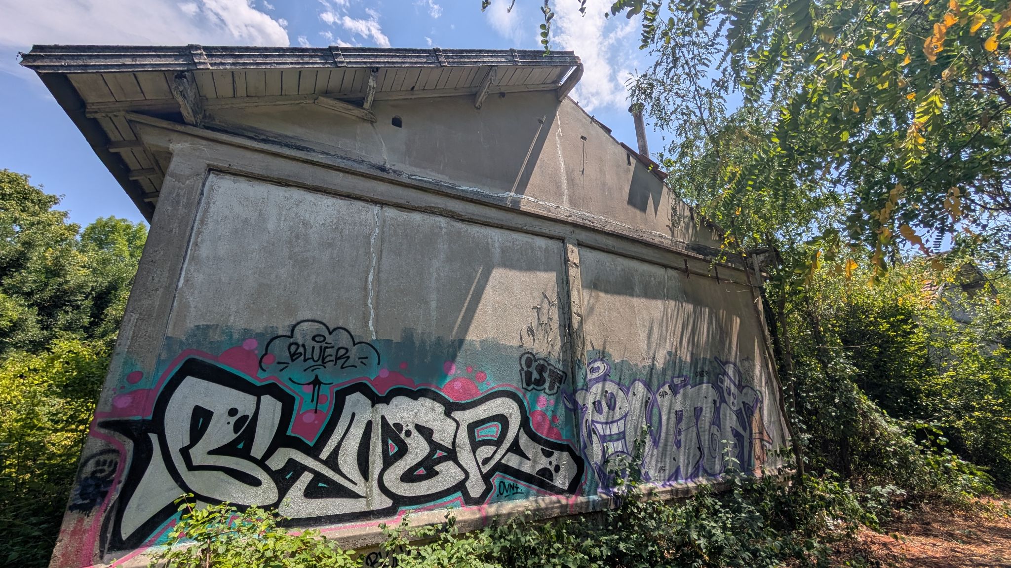 PXL 20260711 122112871