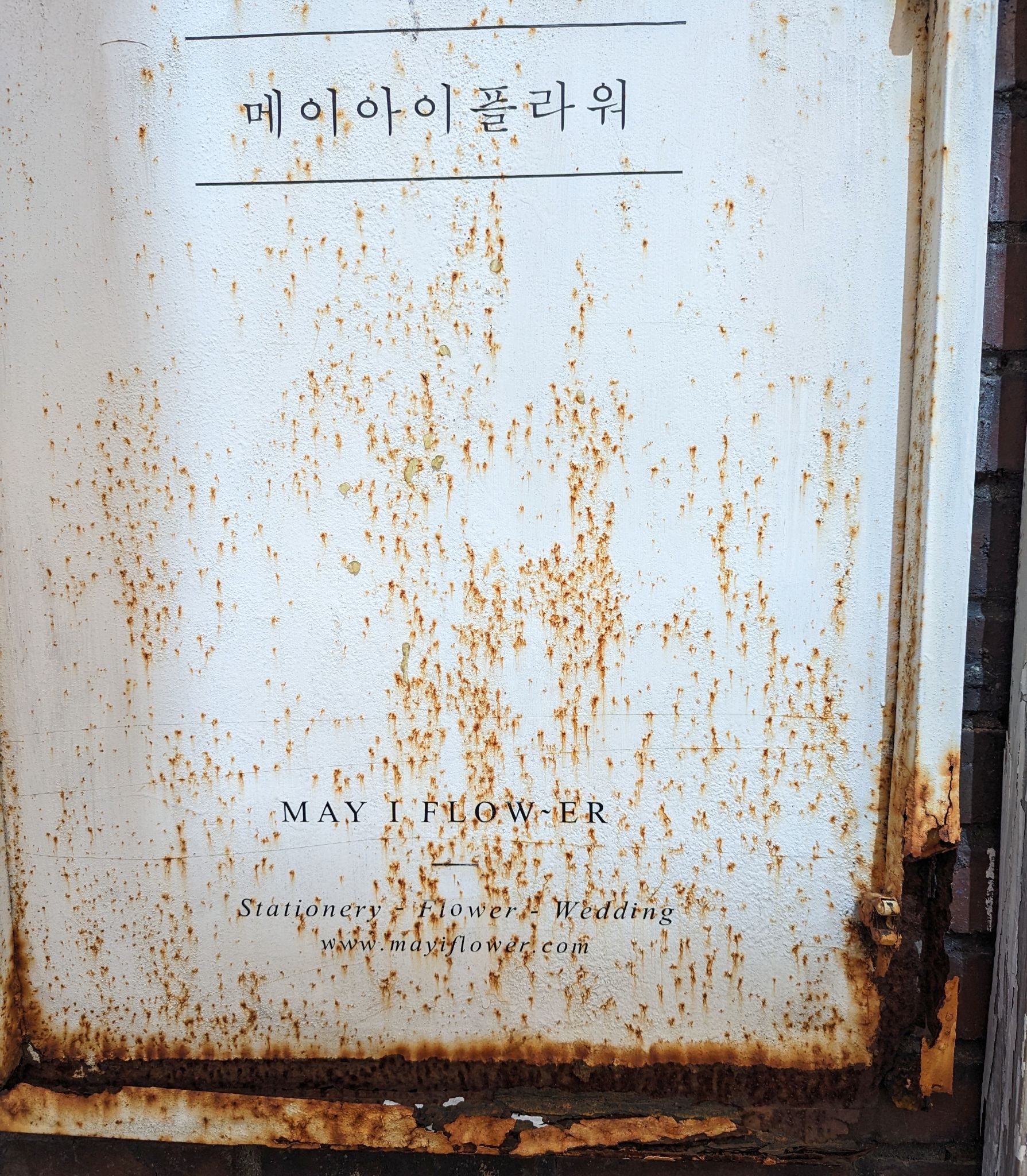 PXL 20240418 013408693