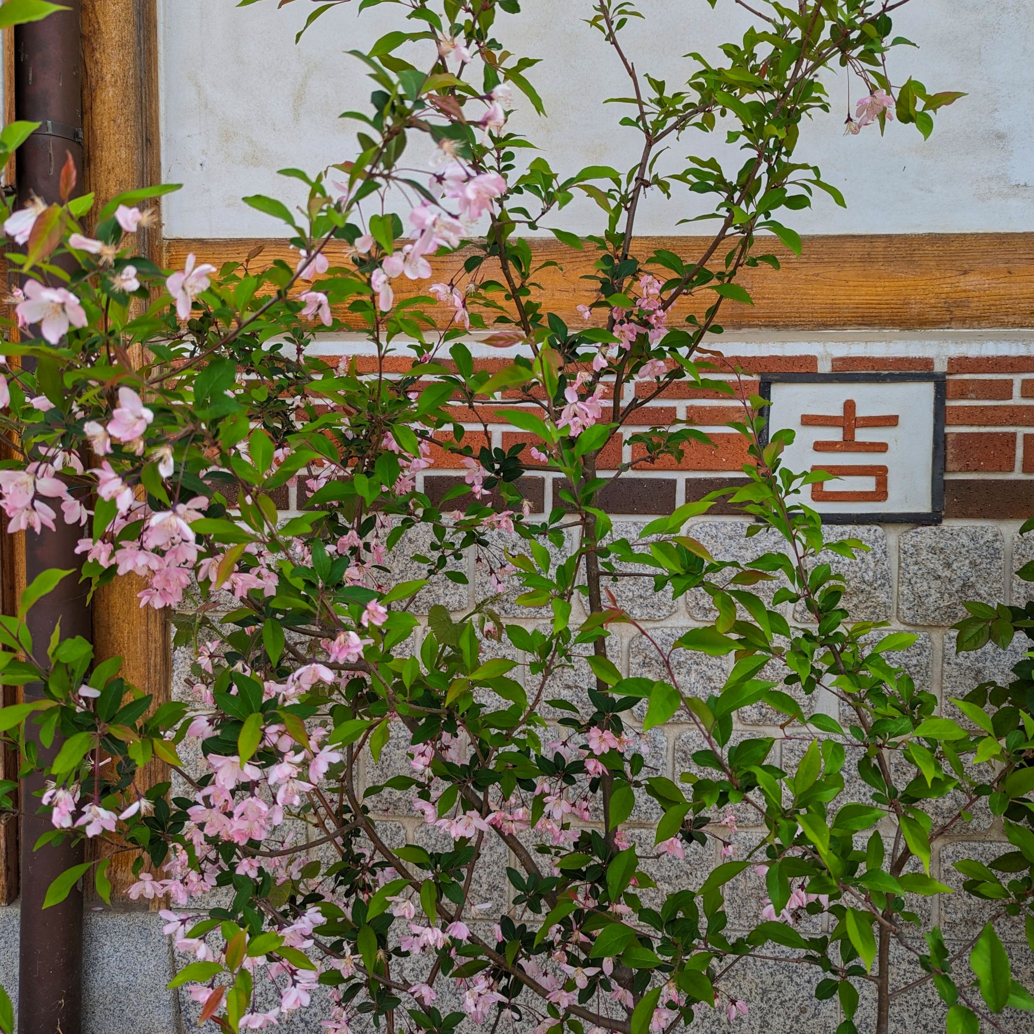 PXL 20240419 033718720