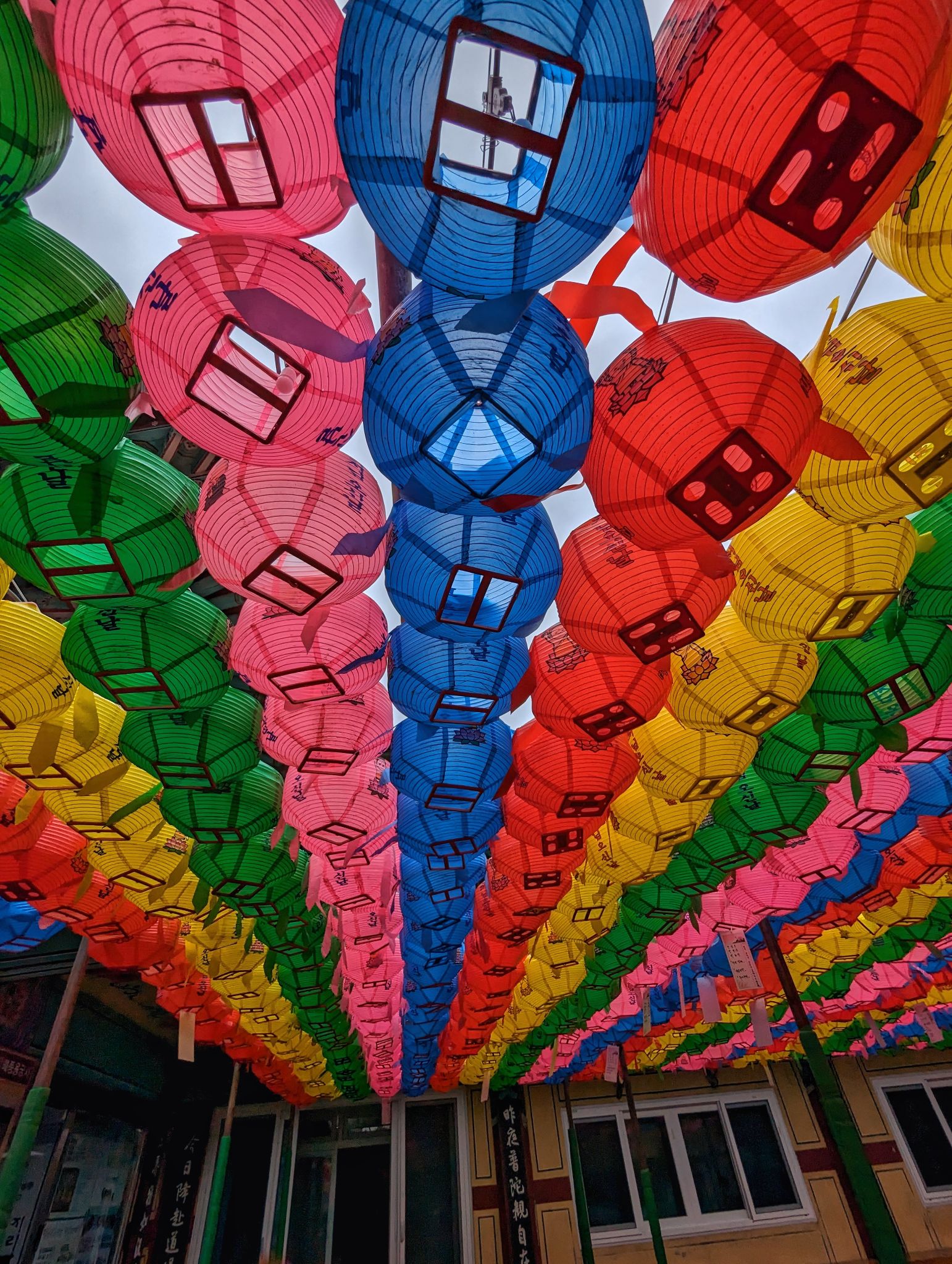 PXL 20240422 060853408