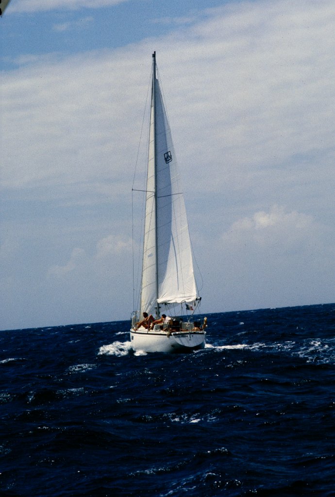 Croisiere 36 1981